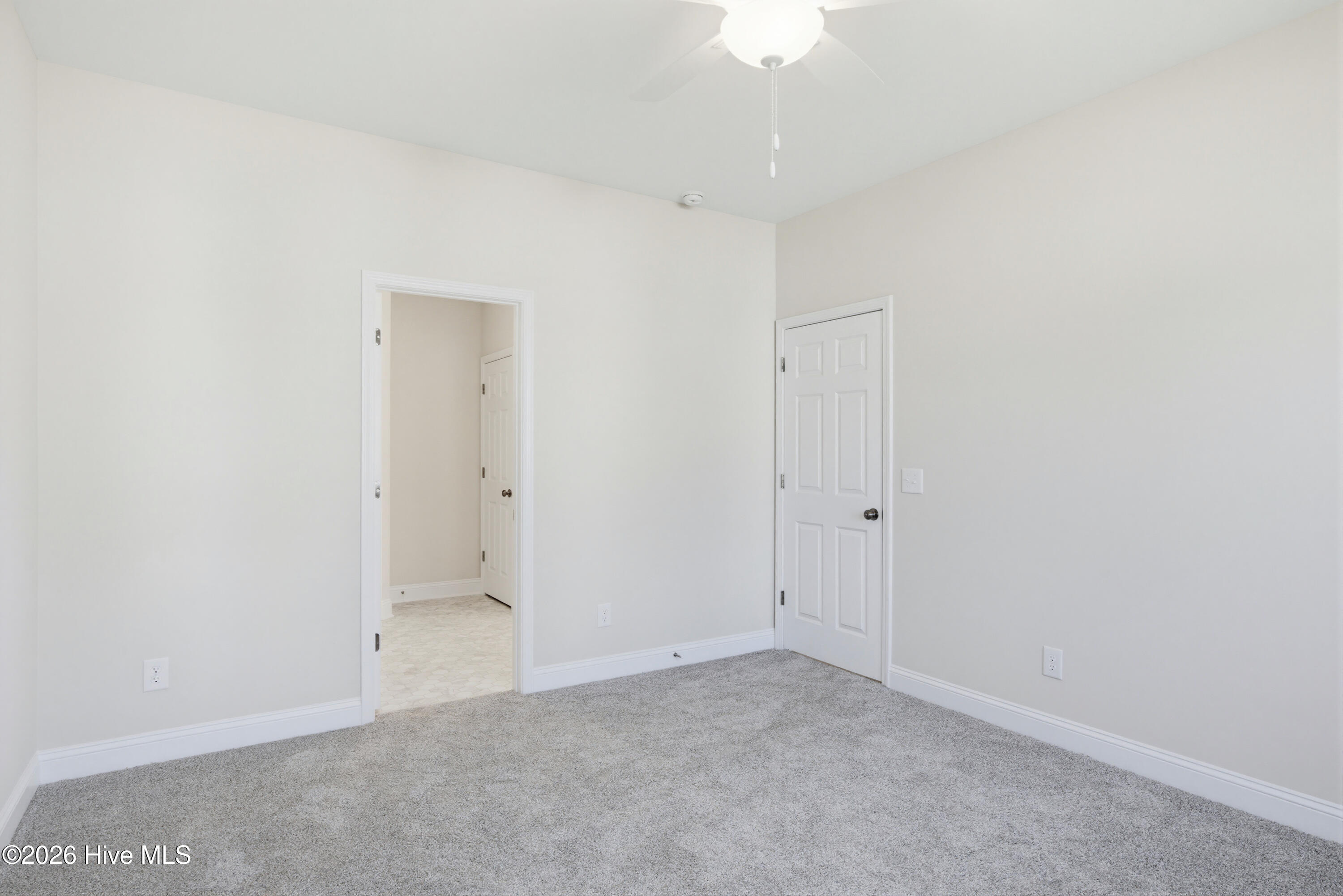 100567262 | Photo 13