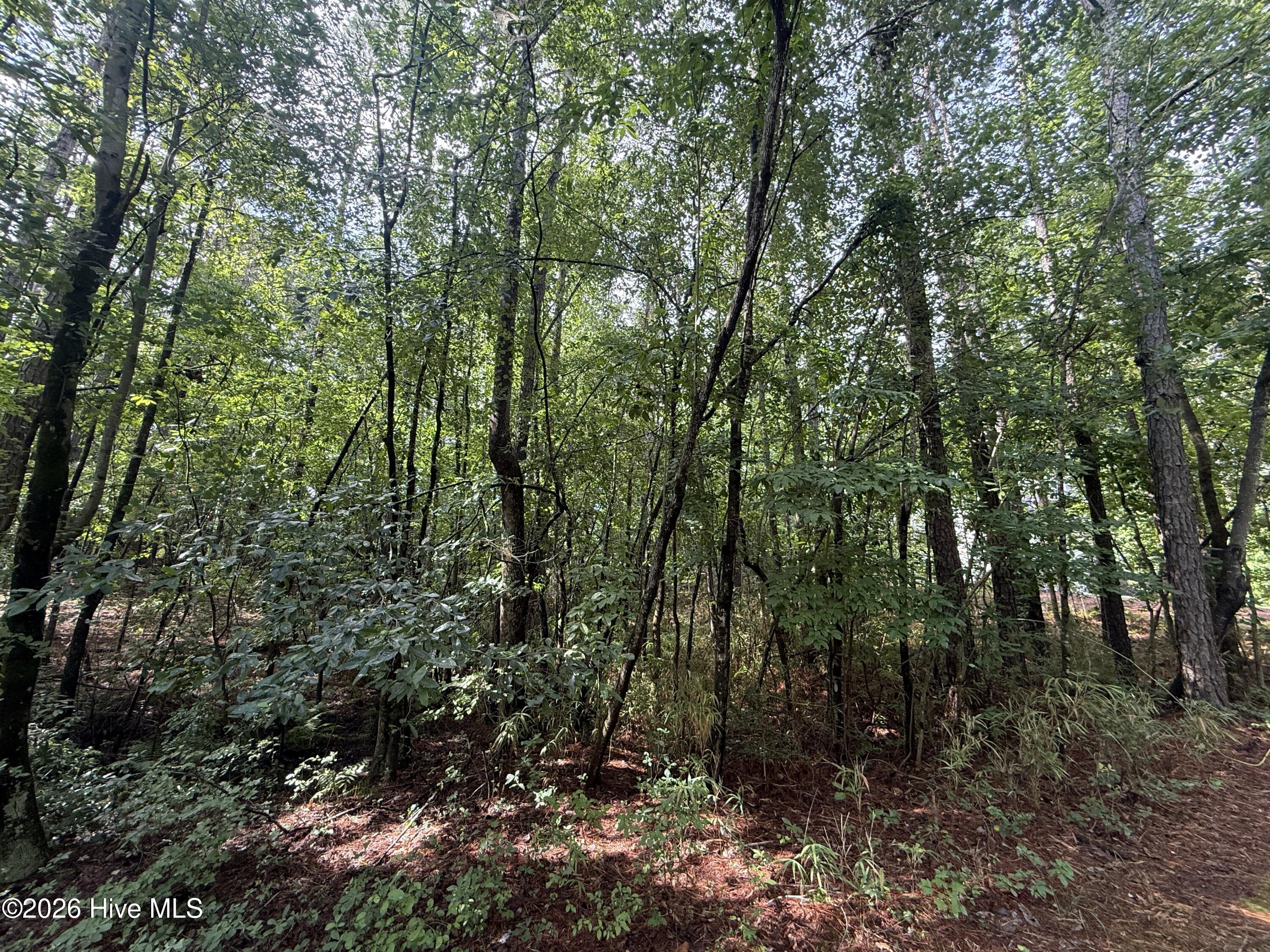 Exterior photo of 149 Hastings Road, West End, NC 27376. MLS: 100588961