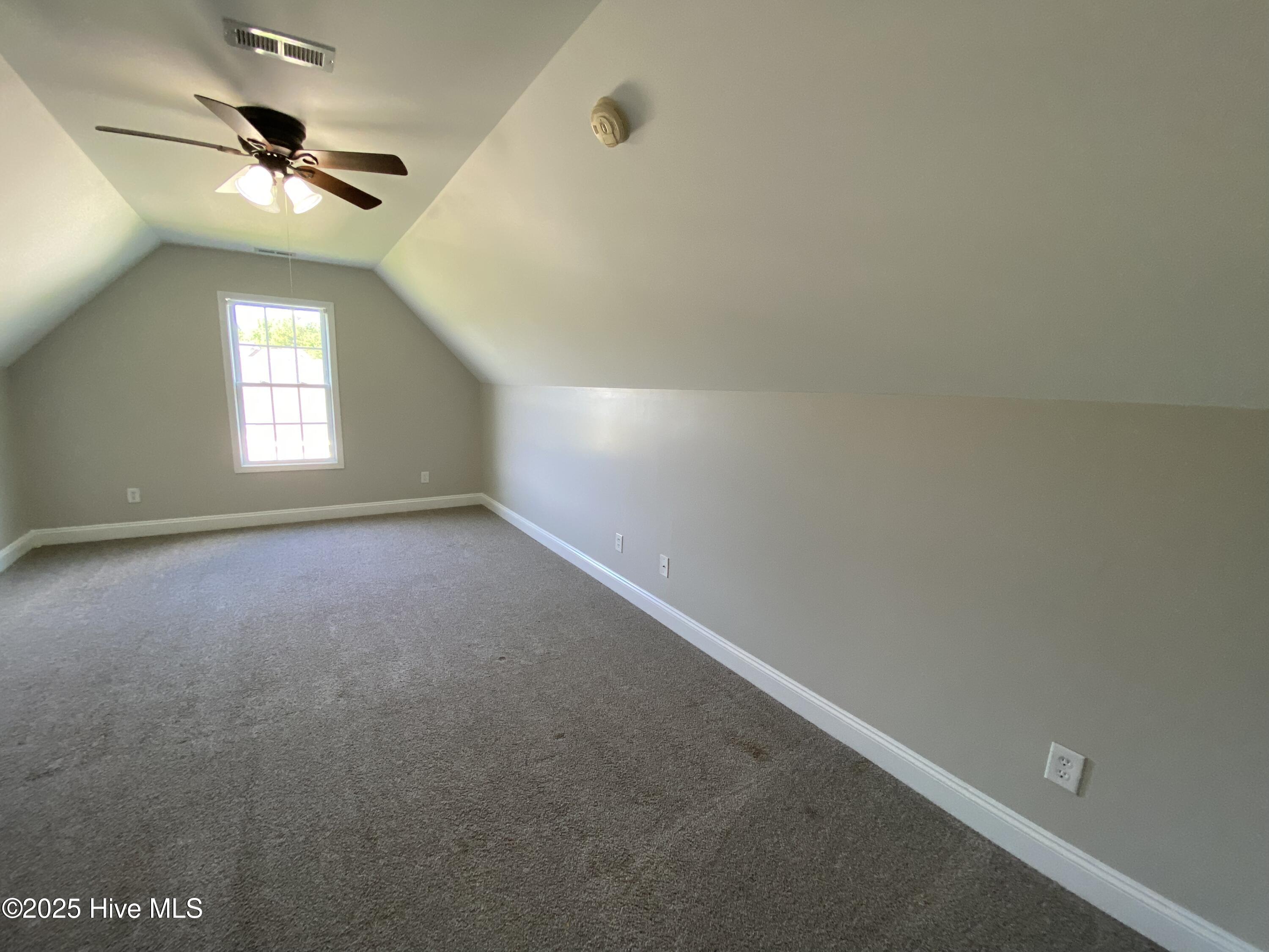 100566817 | Photo 19