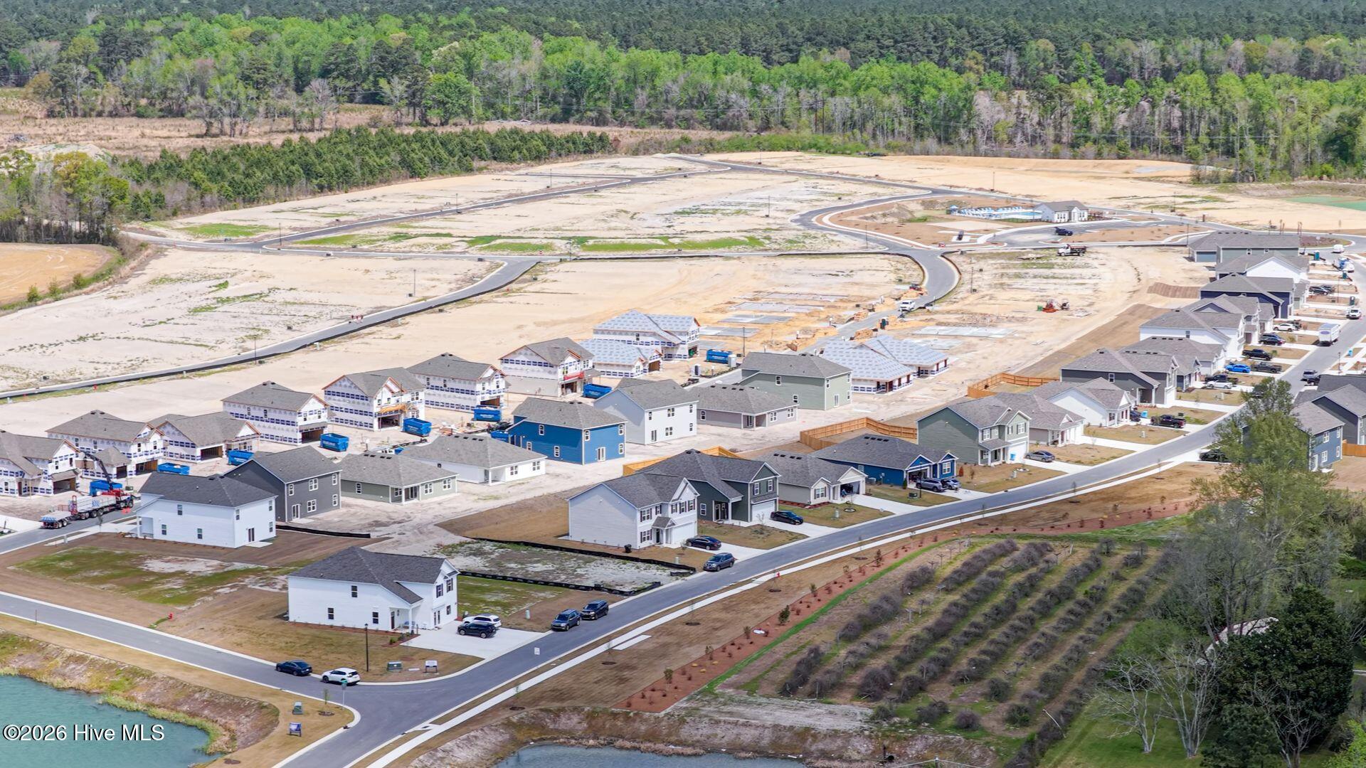 100565396 | Photo 29