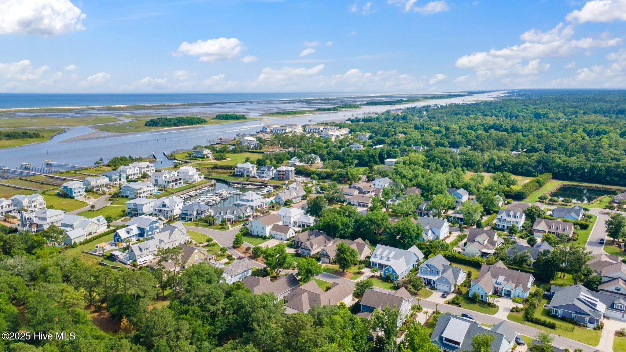 100508421 | Photo 91