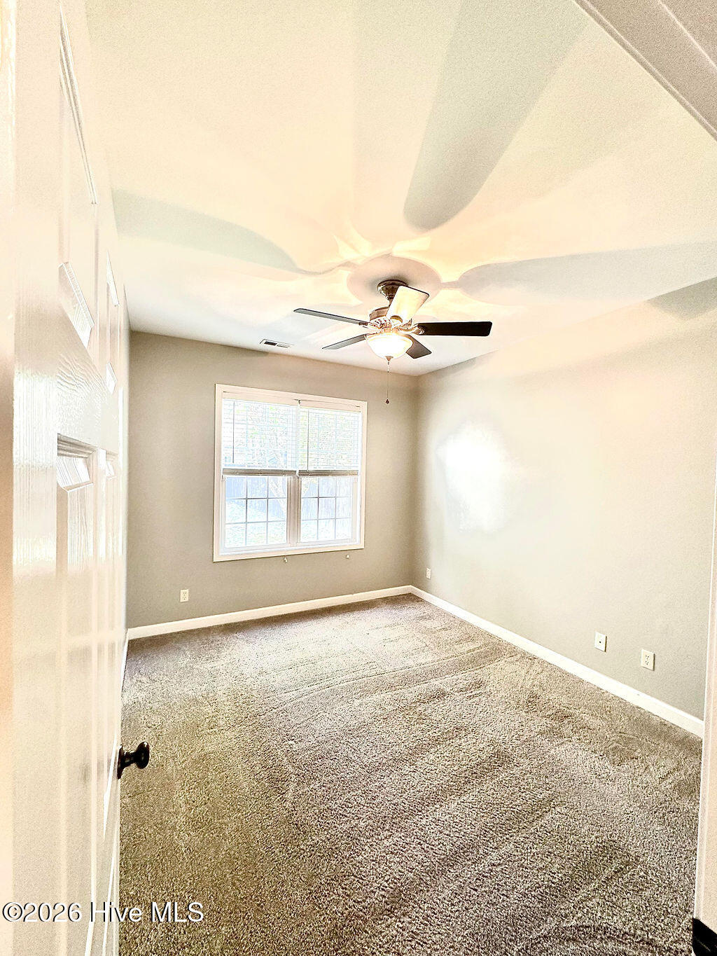 100566805 | Photo 22