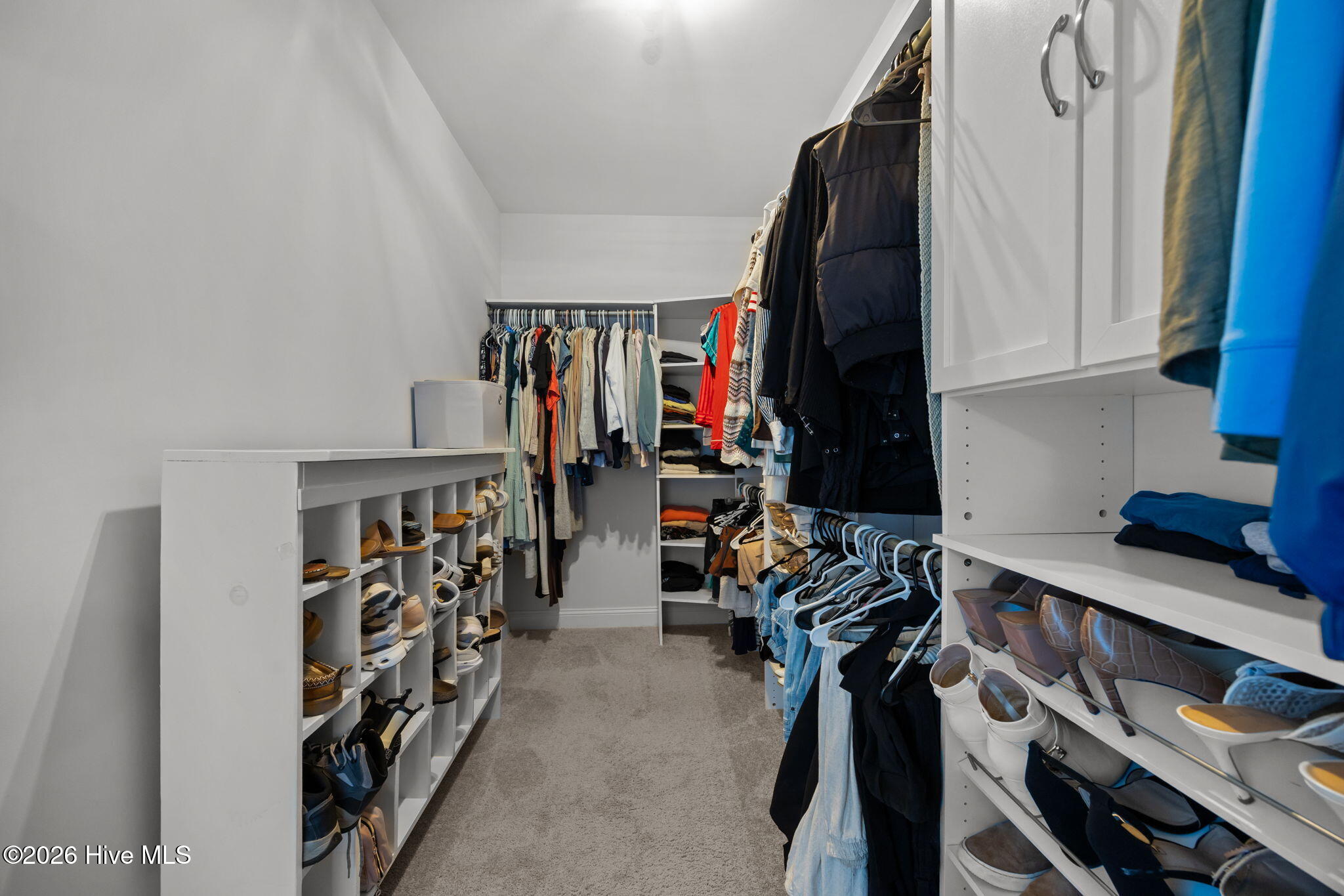 100556491 | Photo 27