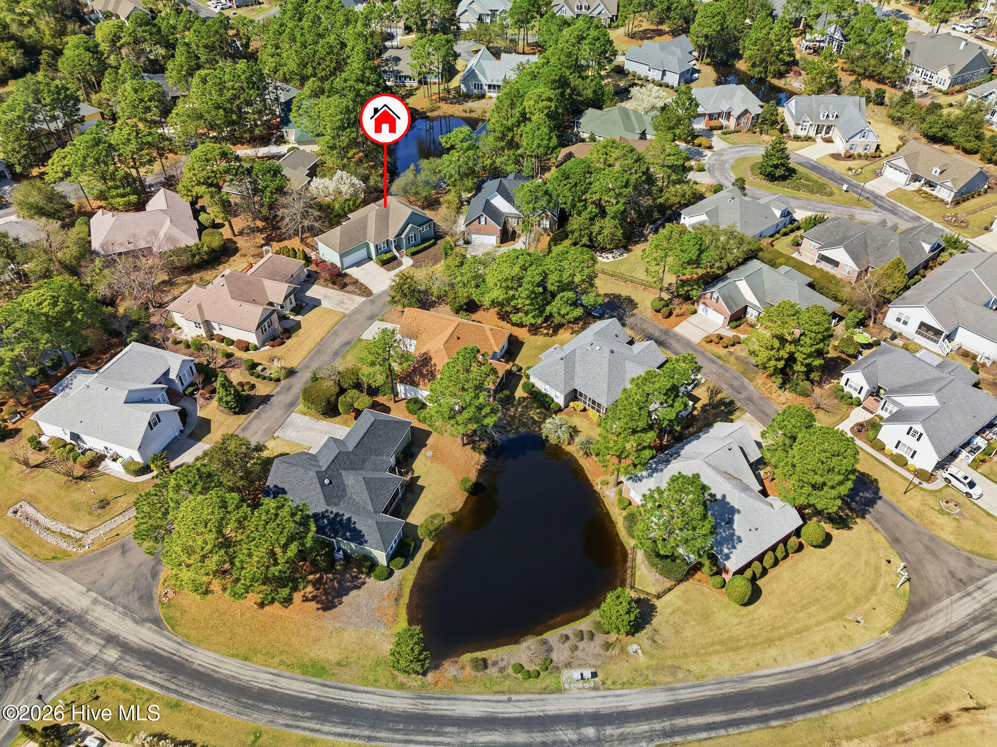 100560993 | Photo 51