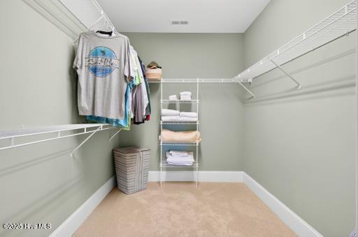 100531498 | Photo 16