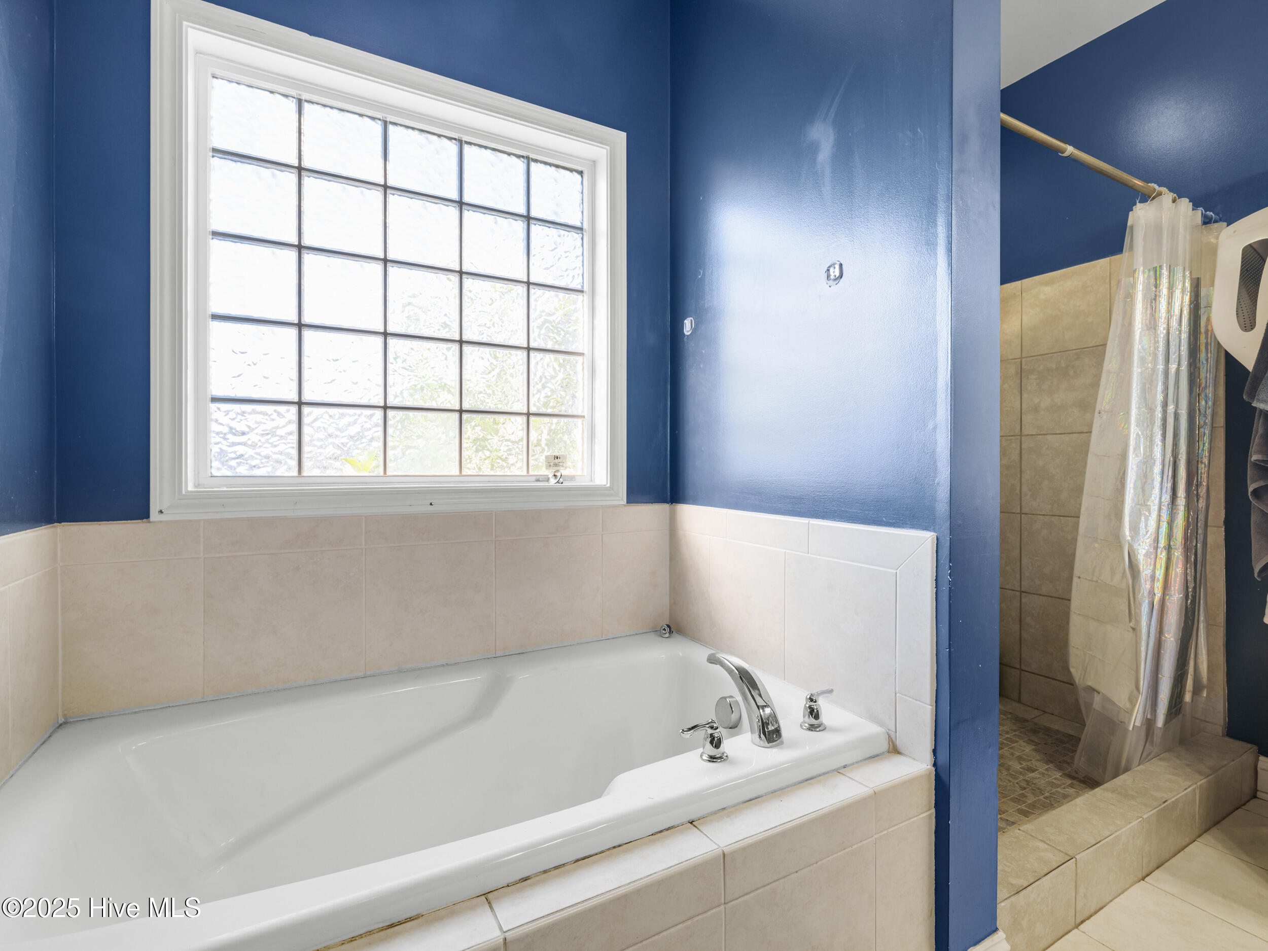 100536146 | Photo 25