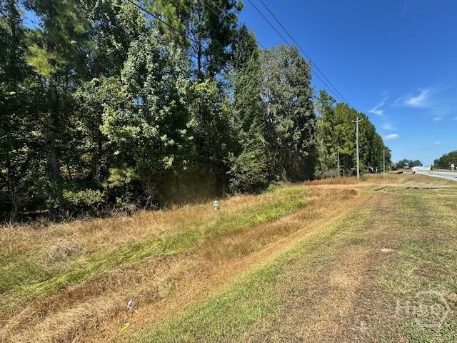 0 Hwy 17 S, Richmond Hill, GA, 31324