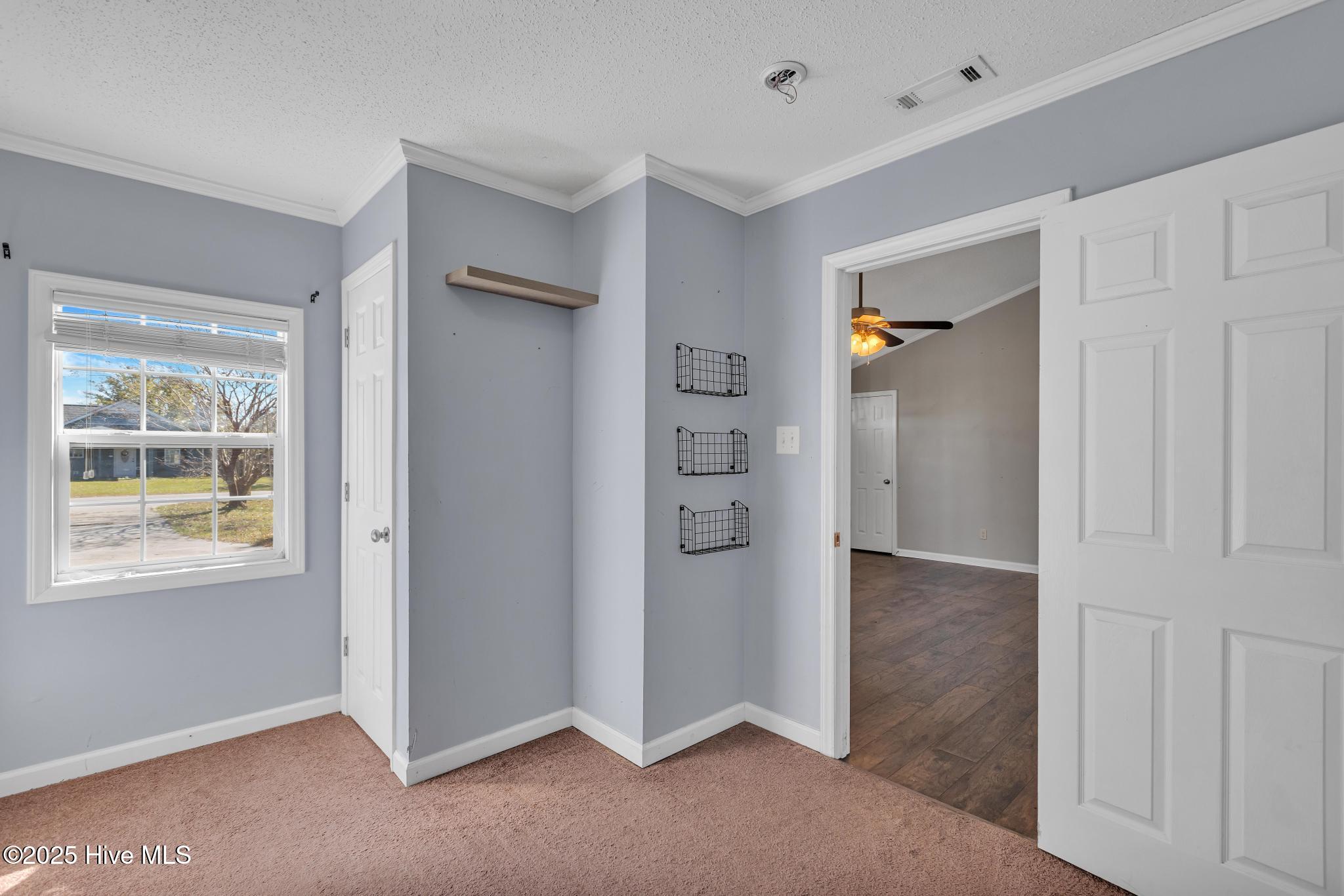 100539855 | Photo 15