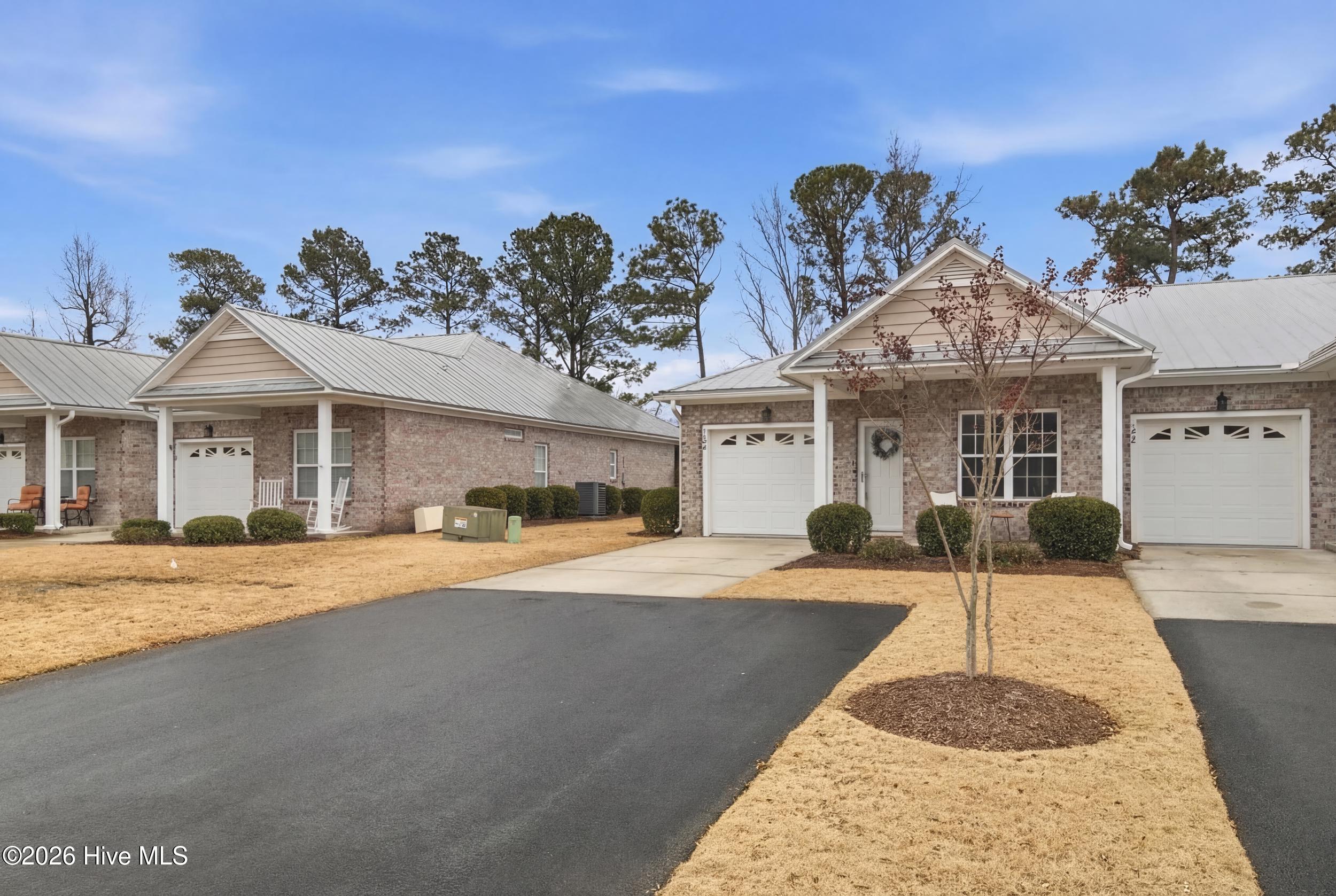 100554409 | Photo 10