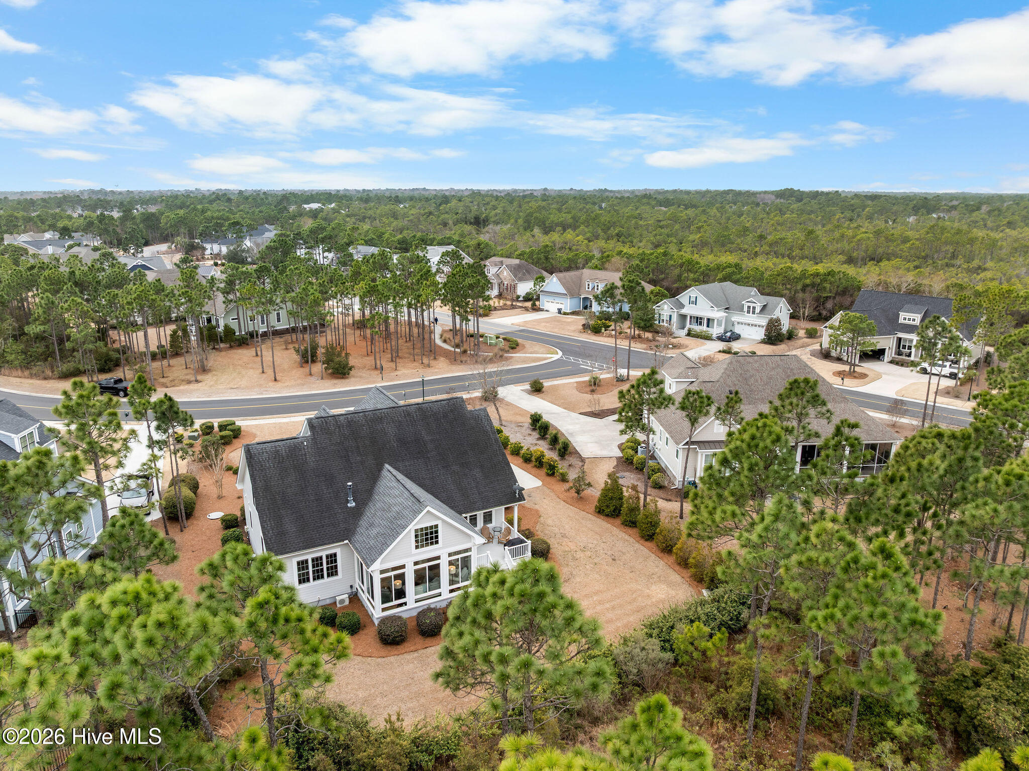 100556154 | Photo 57