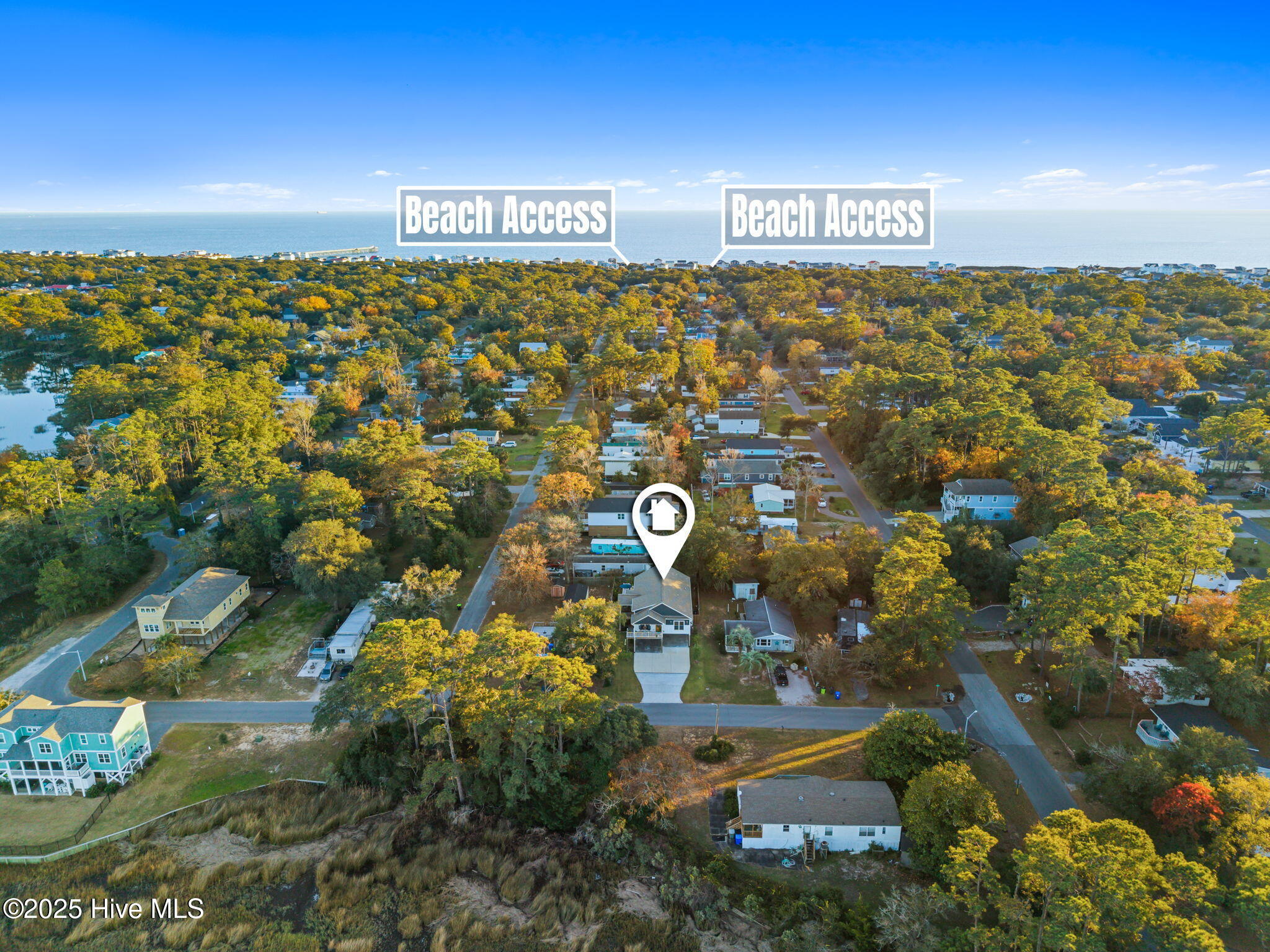 100564542 | Photo 61