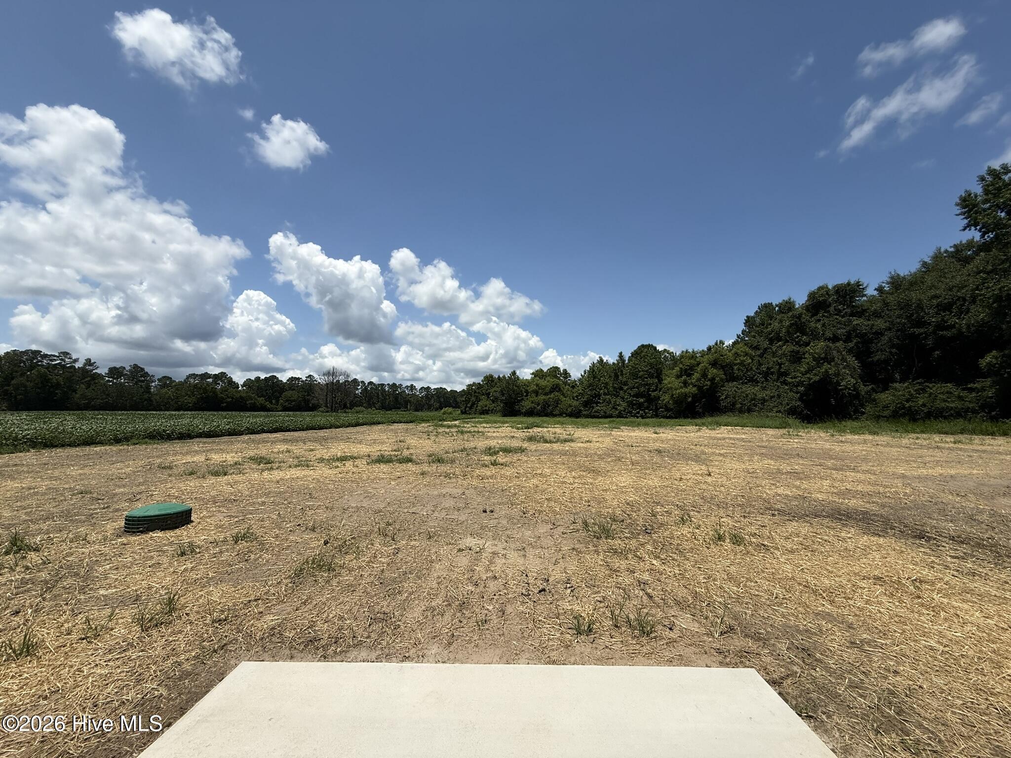 110 Palo Alto Park Drive,Maysville