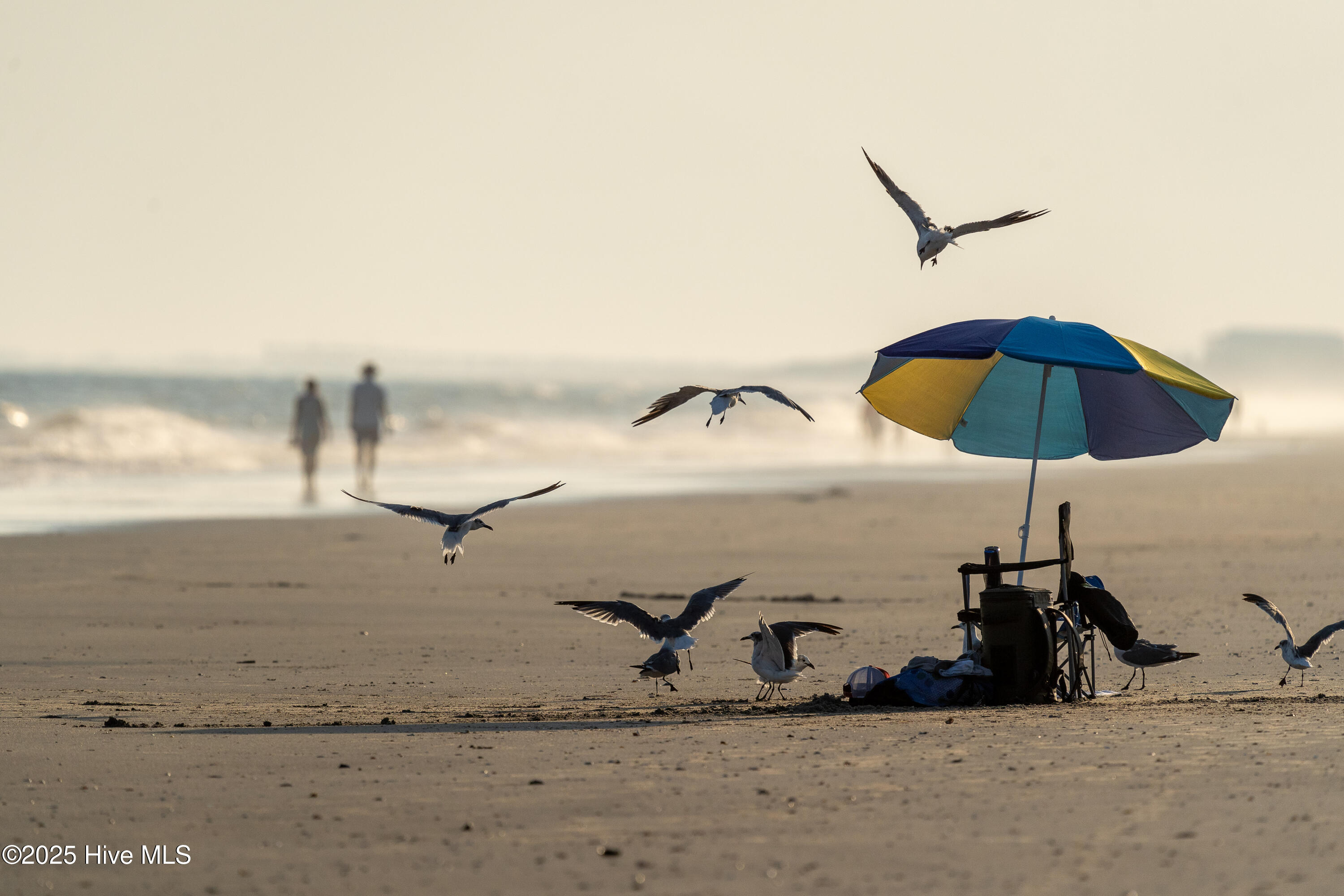 Homes for sale in Ocean Isle Beach, NC | 271 E Second St, Ocean Isle Beach, NC 28469 | MLS# 100510863