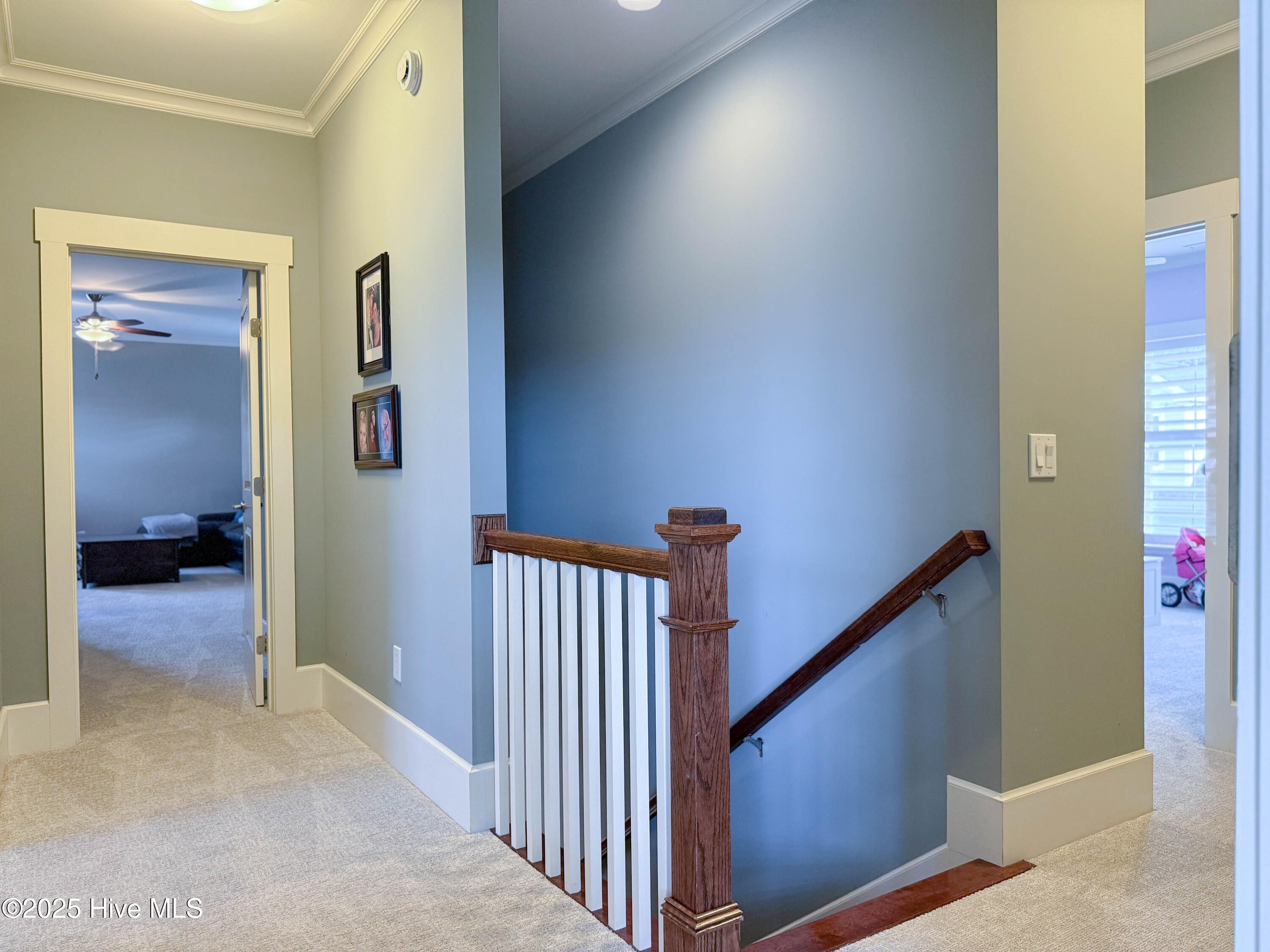 100534073 | Photo 49