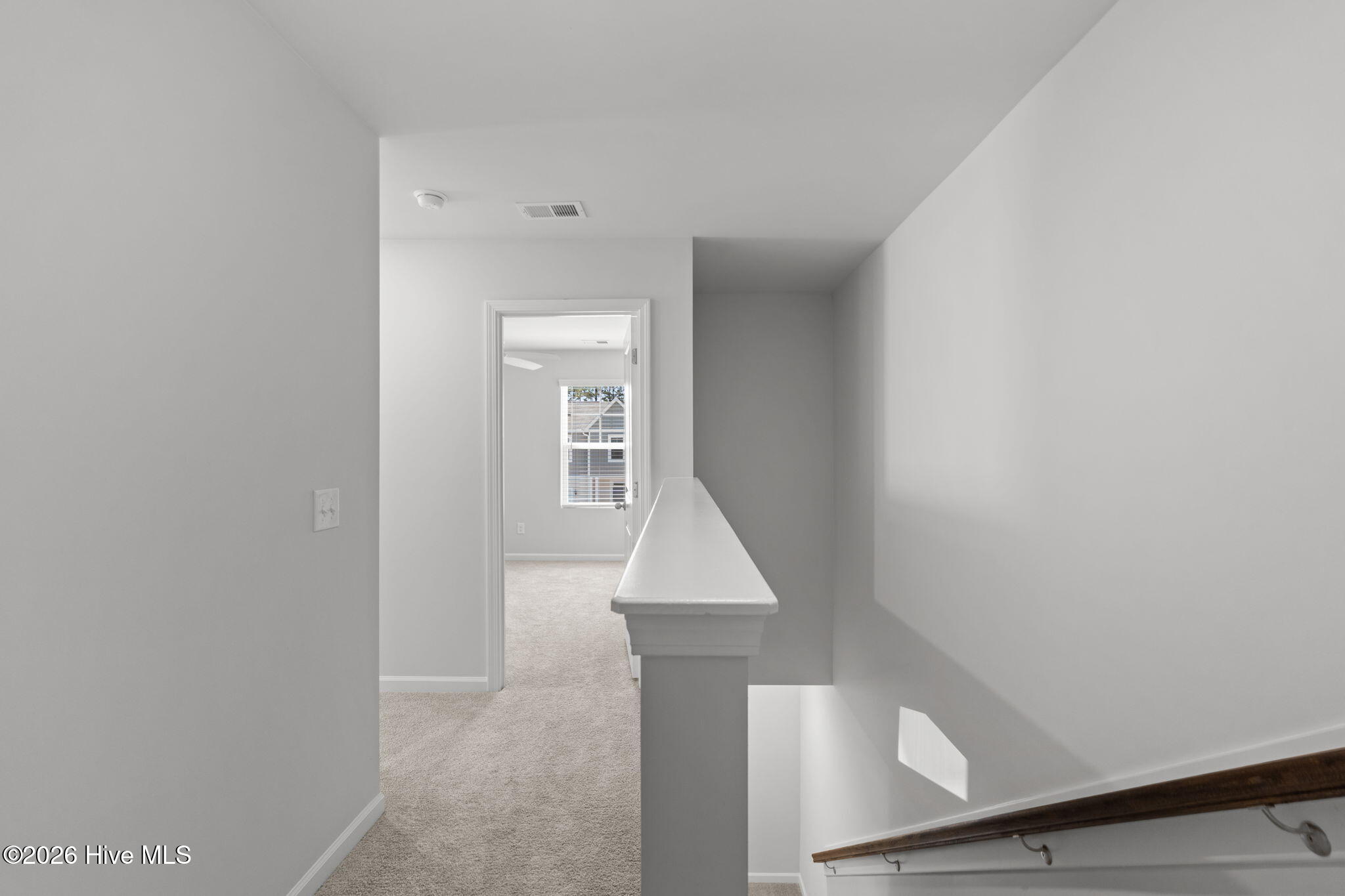 100567065 | Photo 25