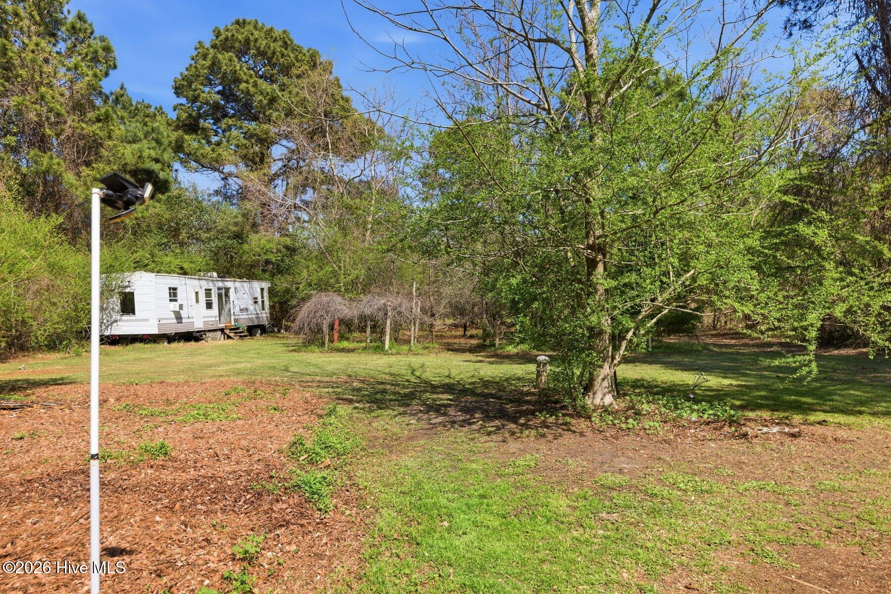 100562175 | Photo 13