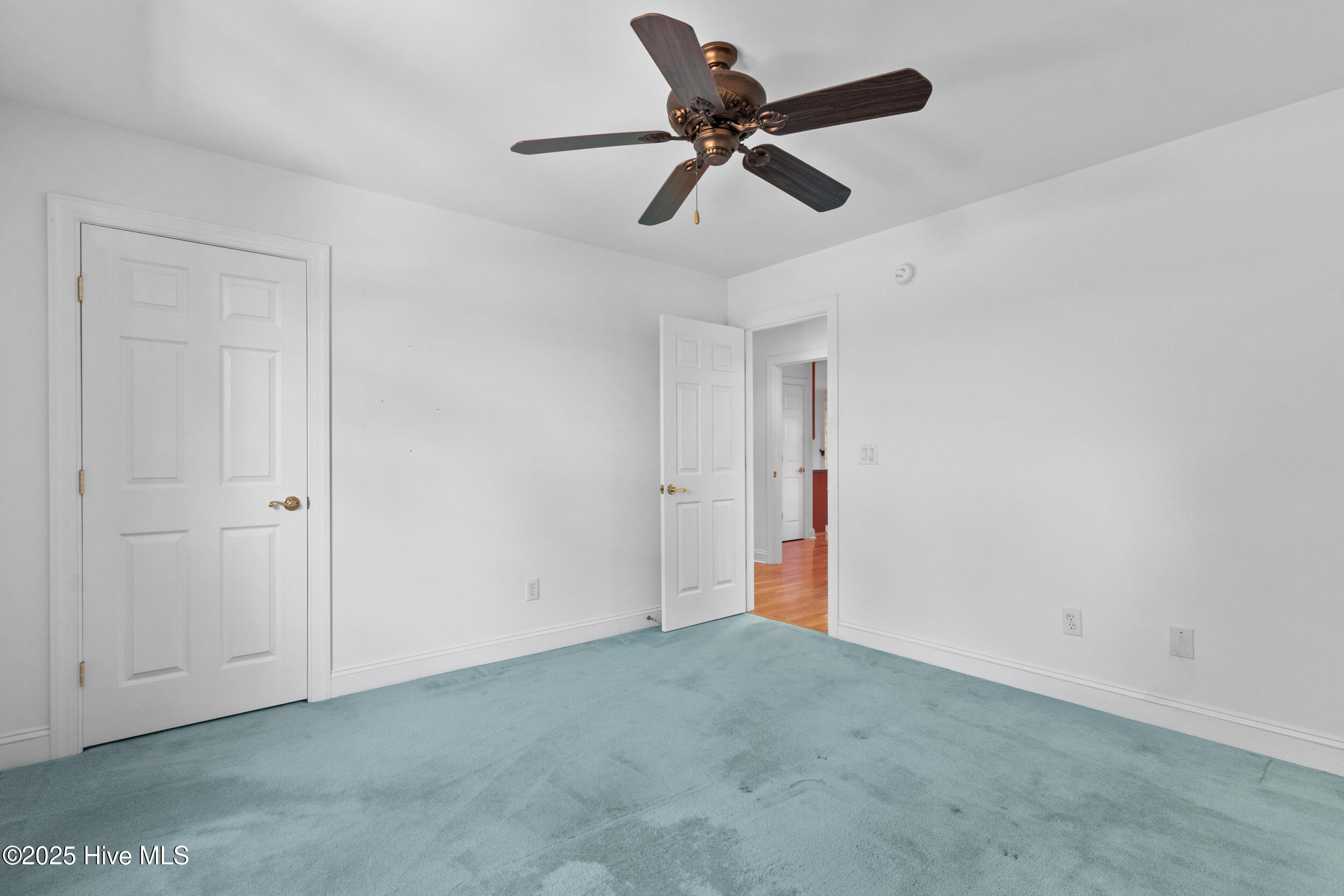 100539143 | Photo 23