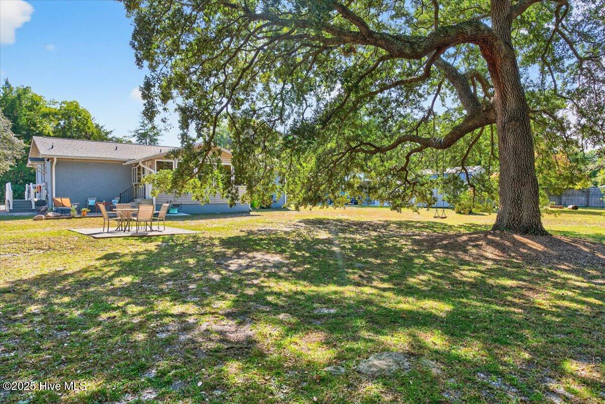 100532606 | Photo 29