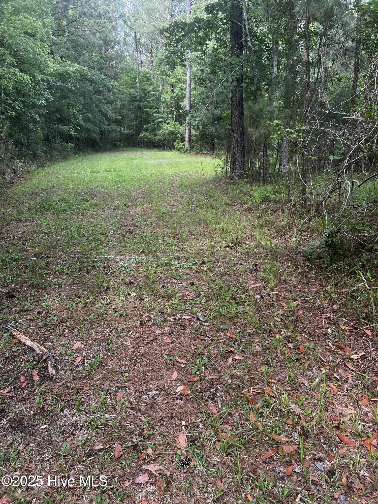 0 White Farm Road,Oriental
