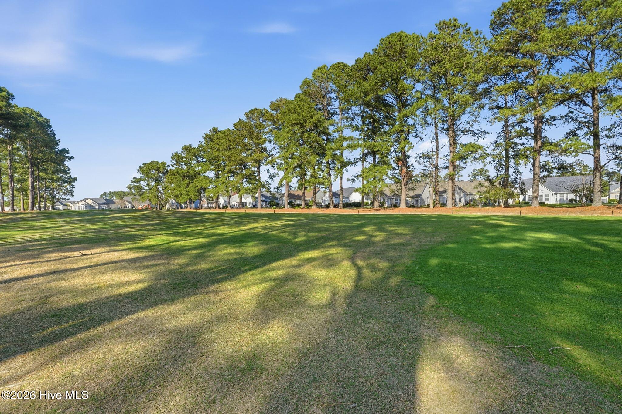 100560639 | Photo 46