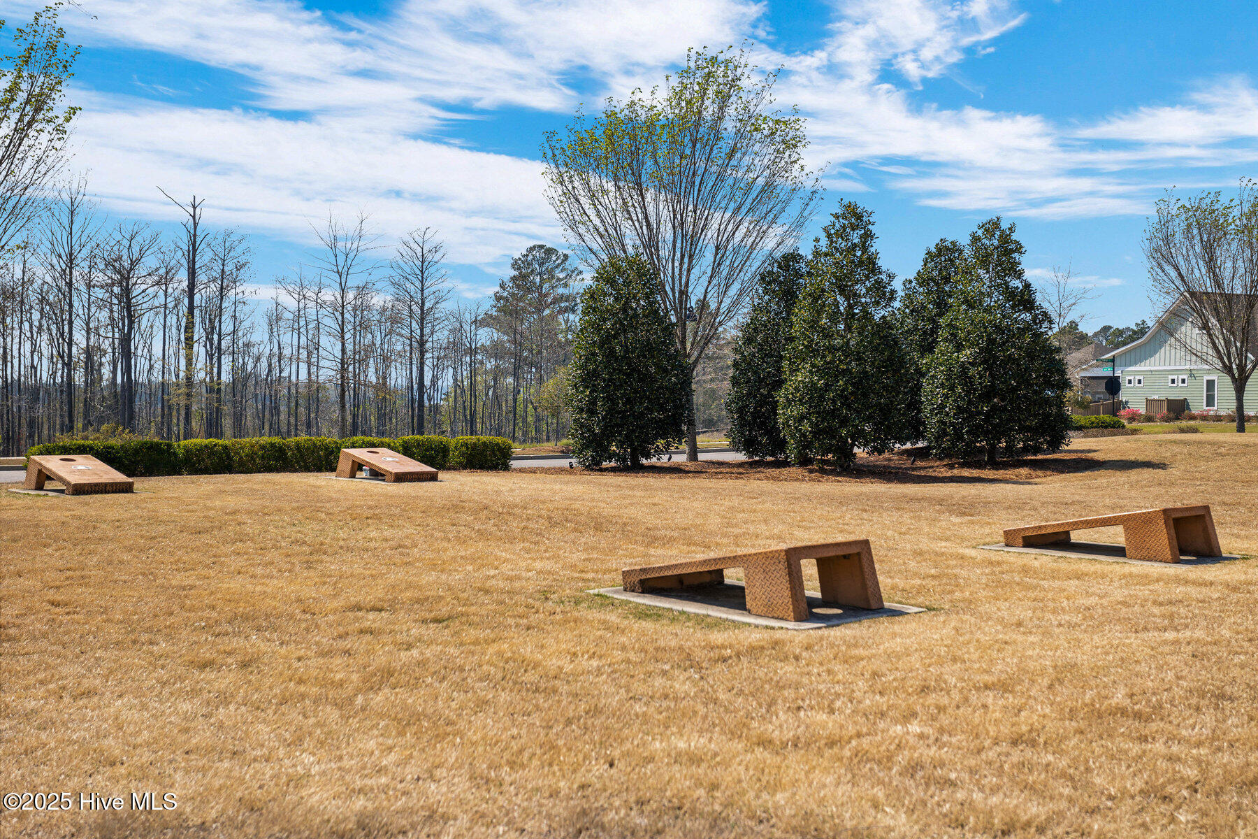 100538755 | Photo 75