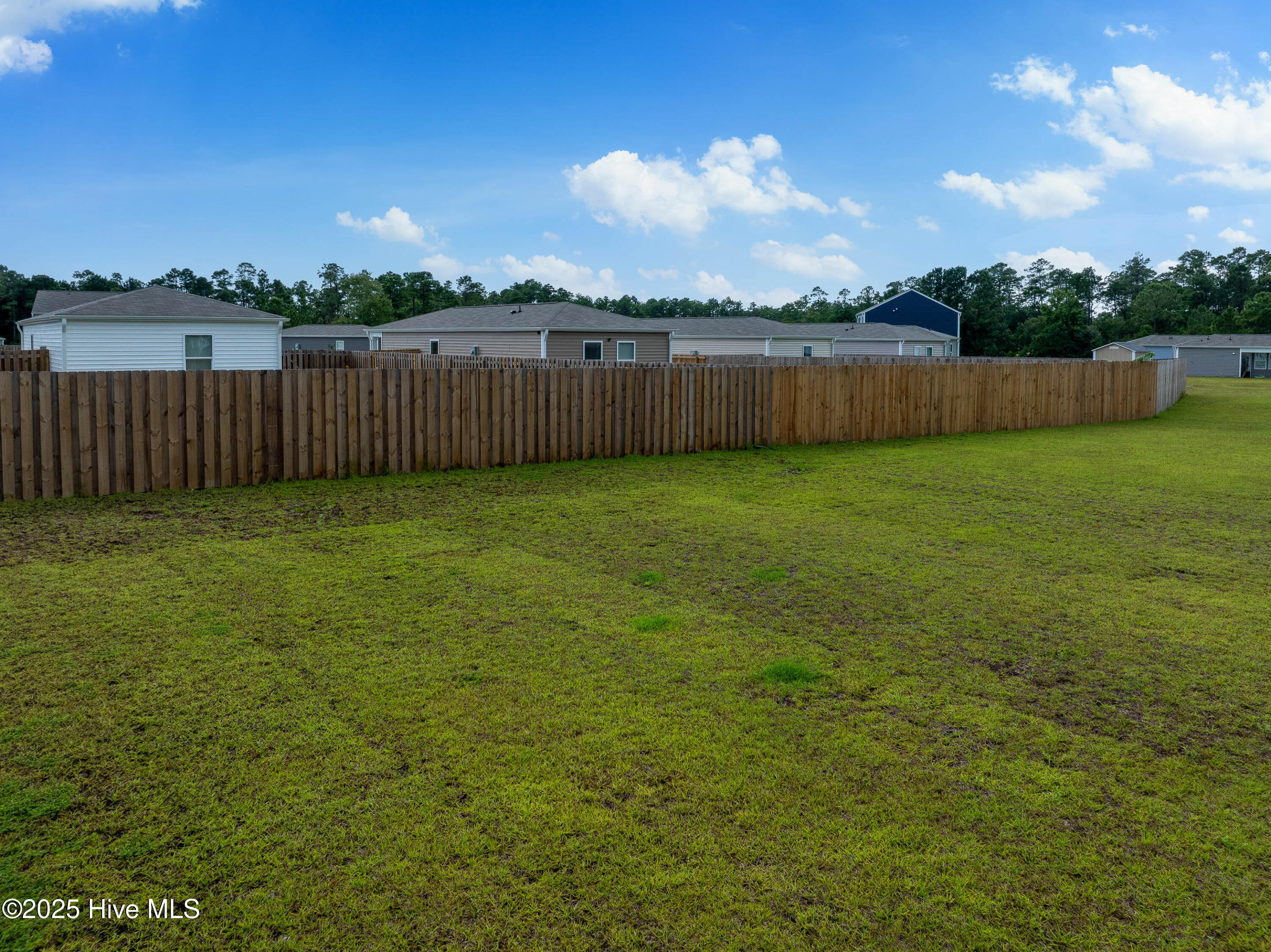 100524246 | Photo 29