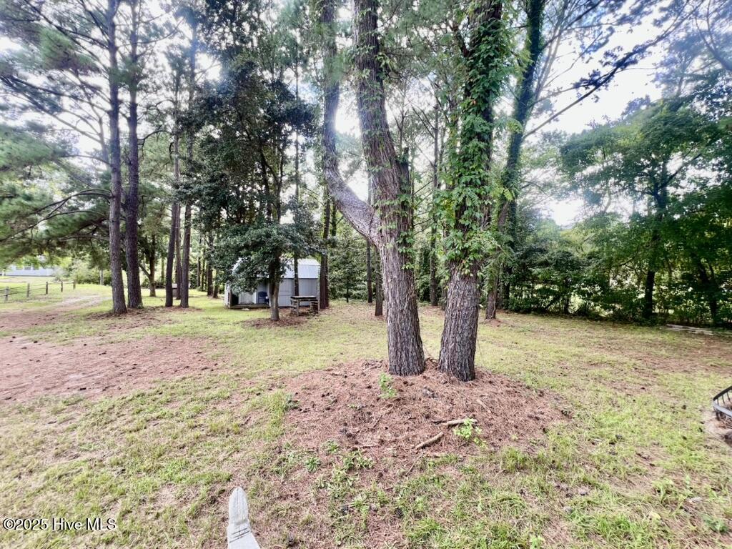 100527564 | Photo 23