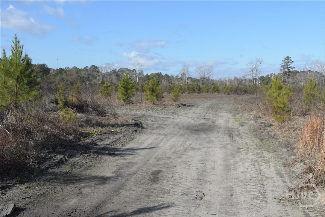 Homes for sale in Statesboro, GA | 0 Hwy 301, Statesboro, GA 30461 | MLS# SA346333