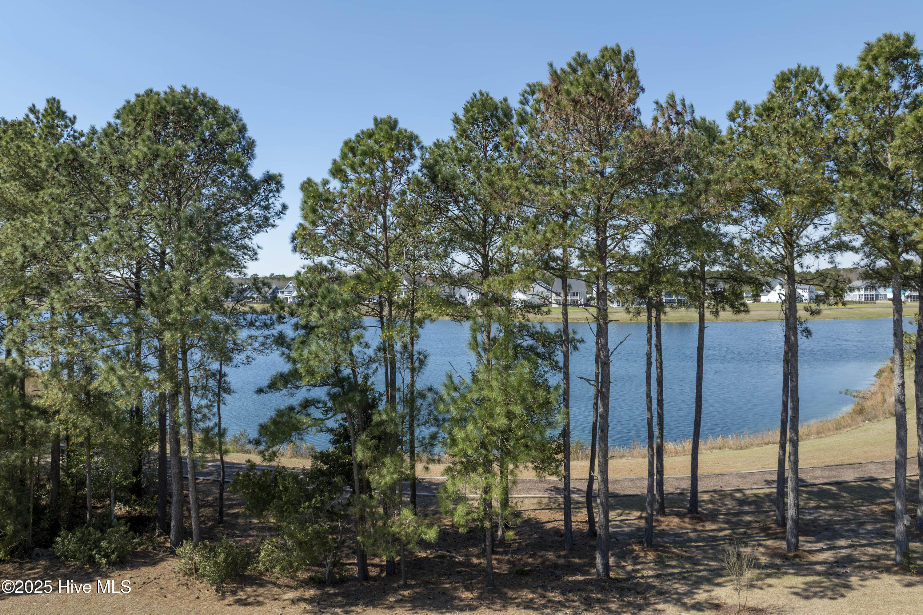 100543712 | Photo 10