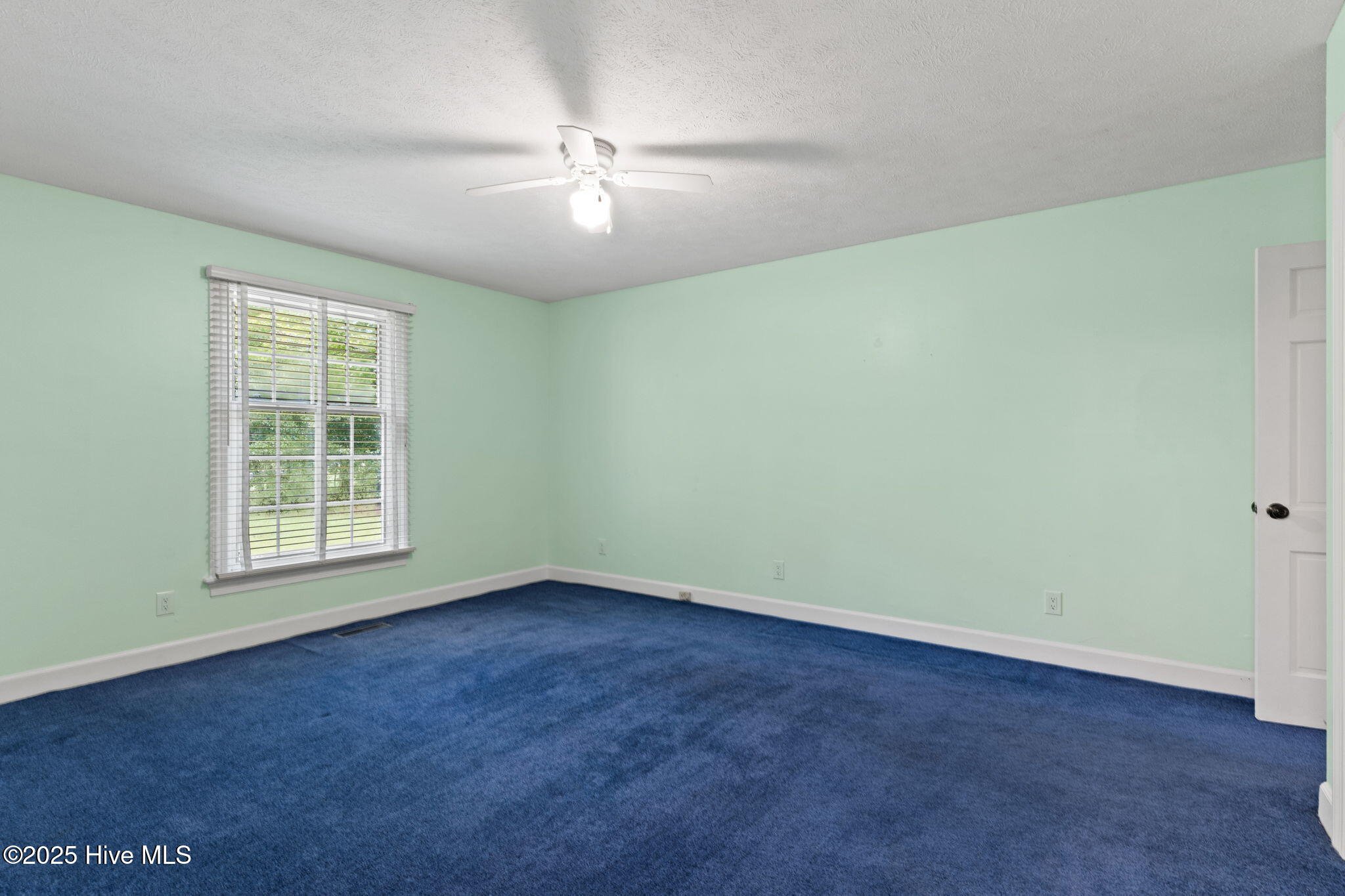 100526462 | Photo 39