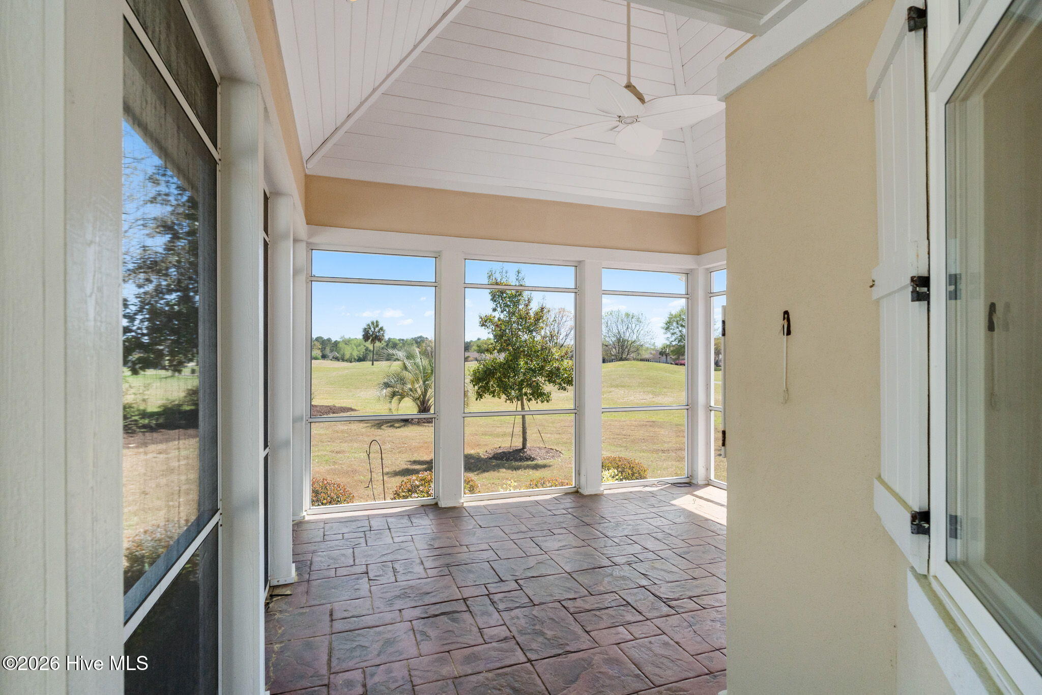 100564967 | Photo 40