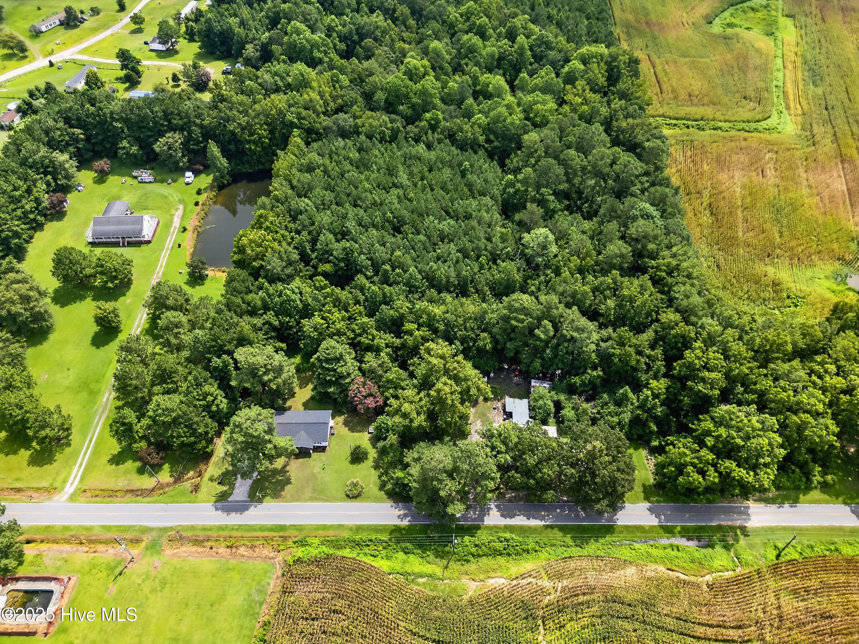 100521509 | Photo 14