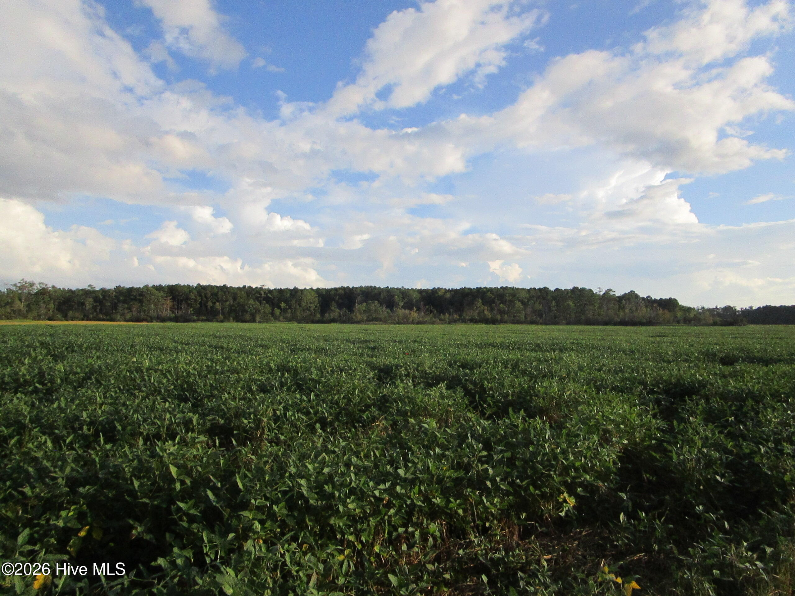 Photo 3 of House for sale at 0 Blf Point Rd, Elizabeth City, NC 27909 | MLS# 100607974 | Listing updated on 2026-10-02