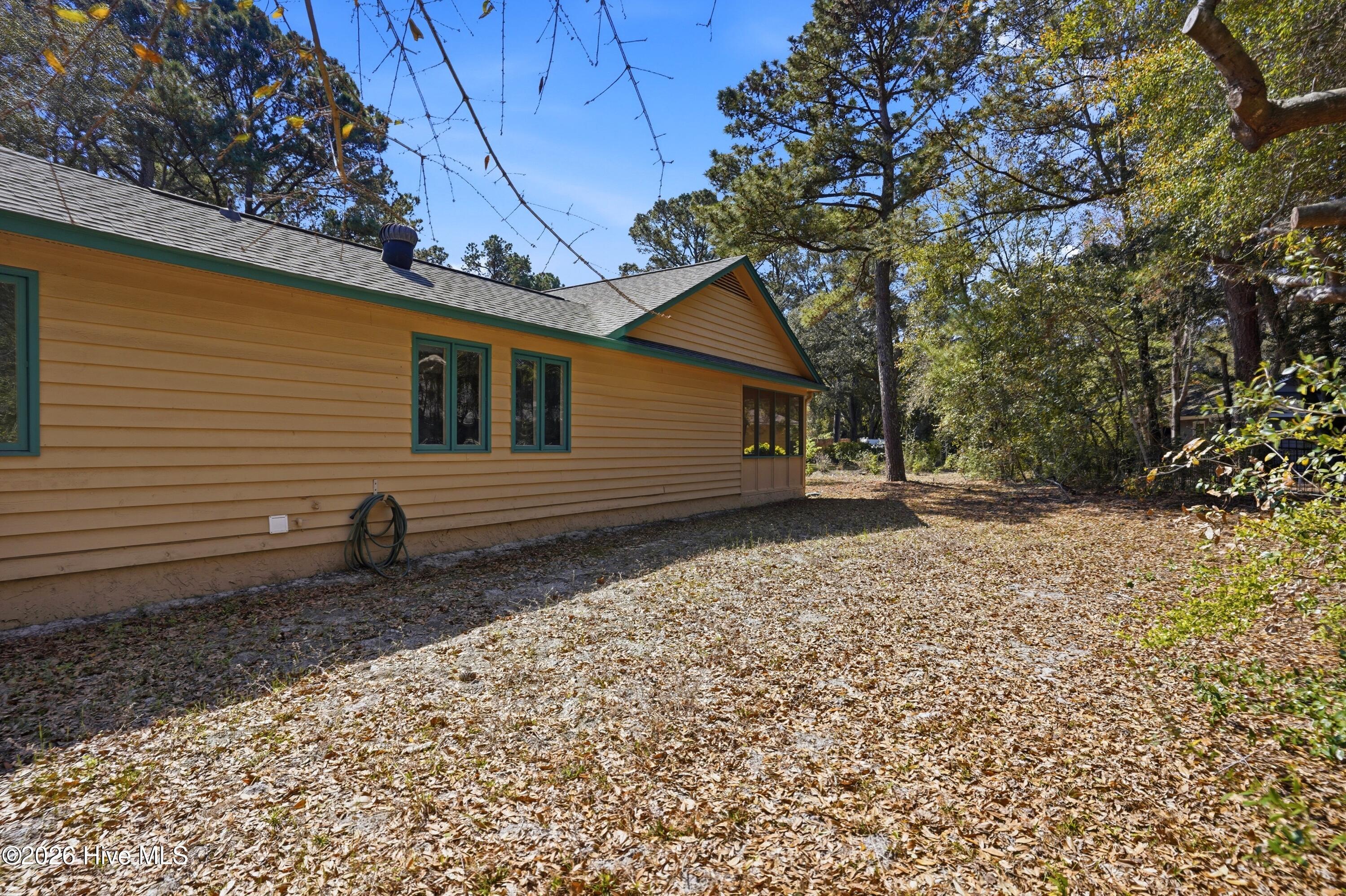 100564154 | Photo 31