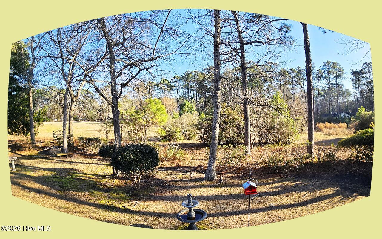 100551235 | Photo 29