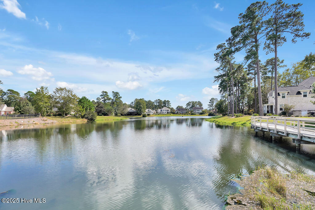 100535984 | Photo 144