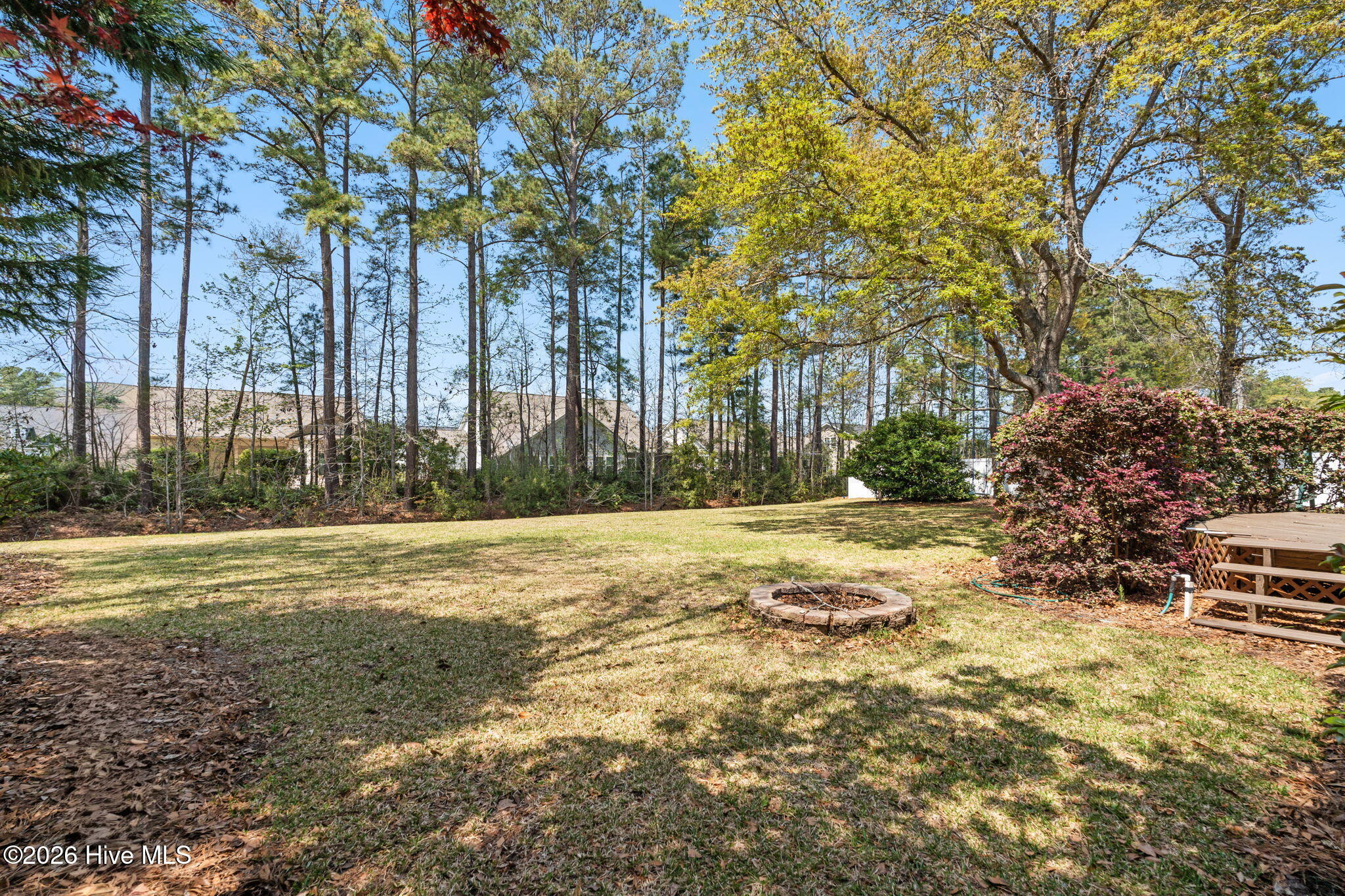 100564721 | Photo 59