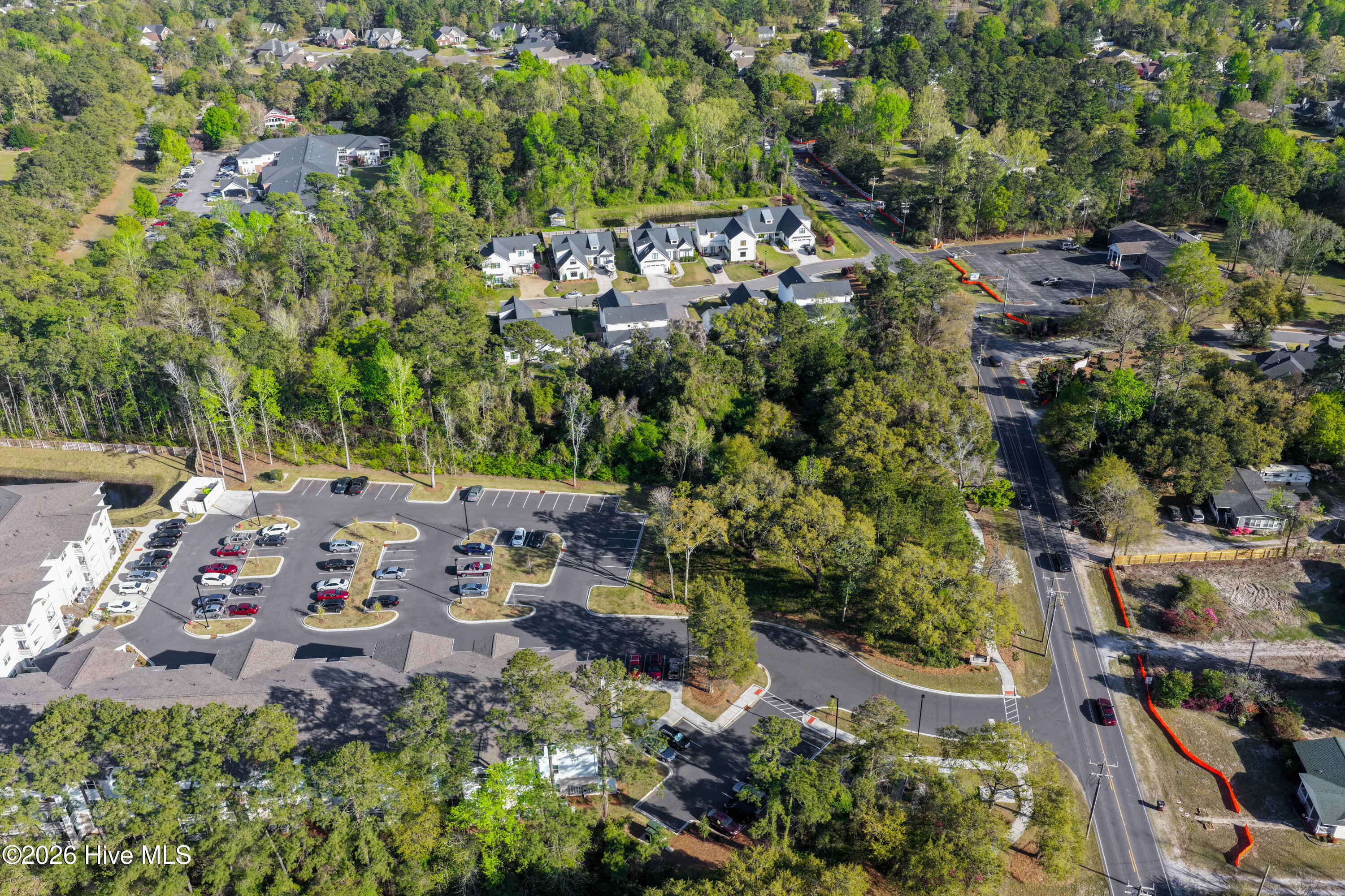 100565879 | Photo 18