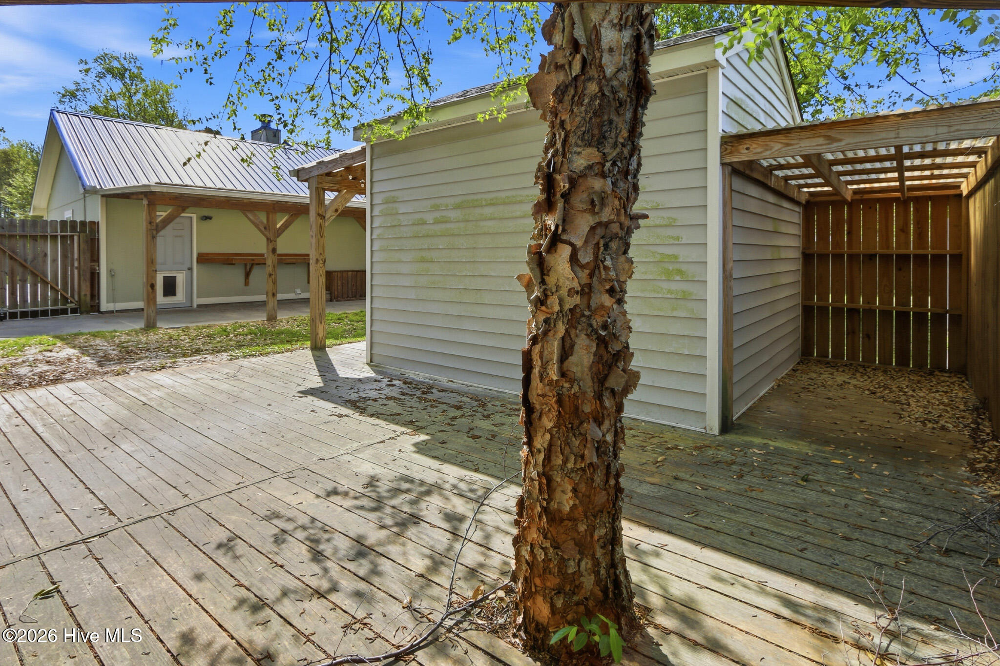 100558935 | Photo 10