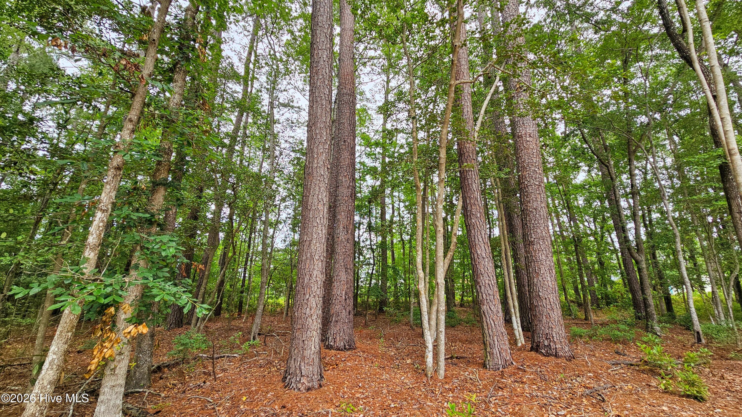 100553650 | Photo 12