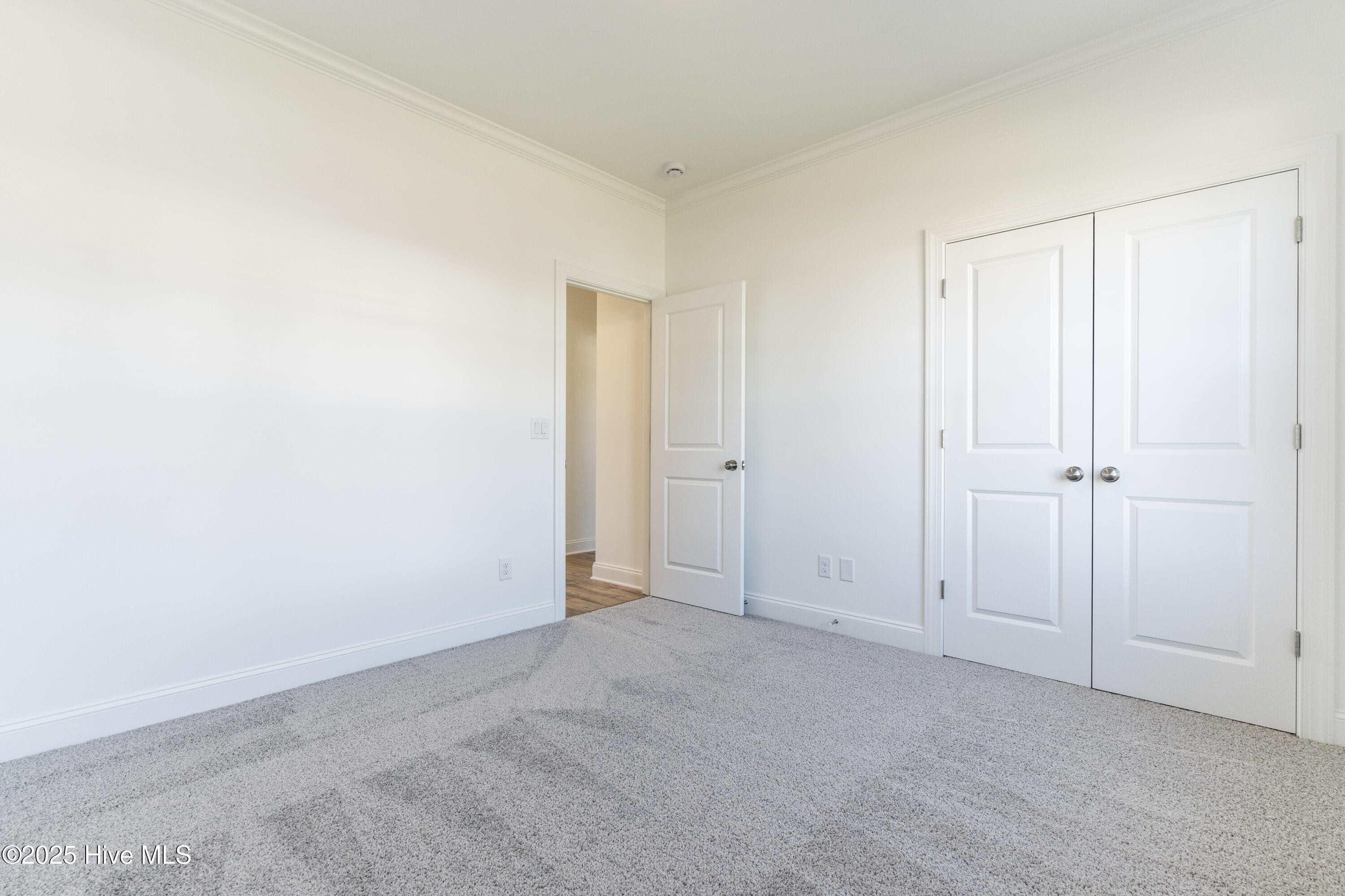 100517740 | Photo 29