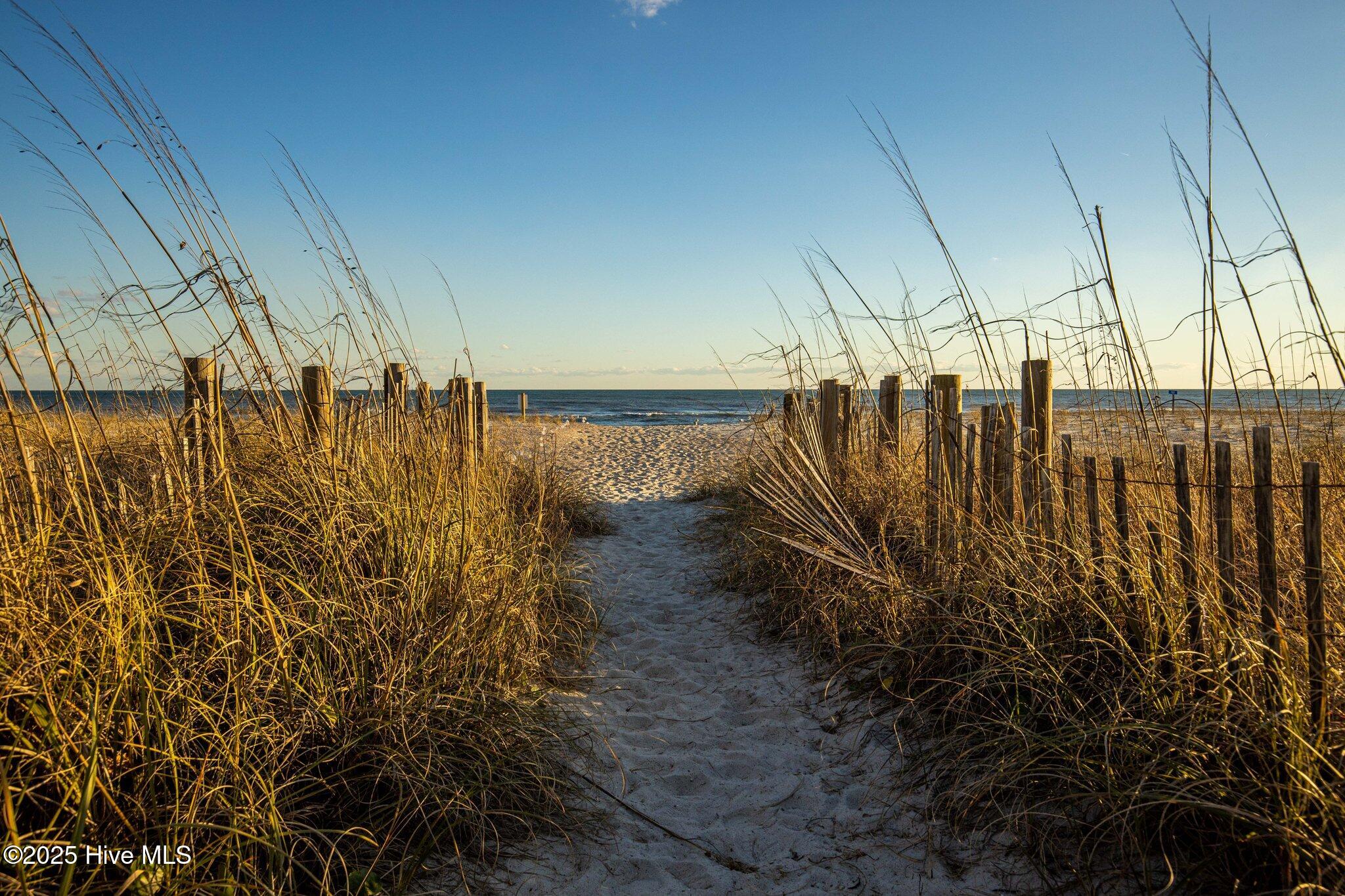 100540385 | Photo 80