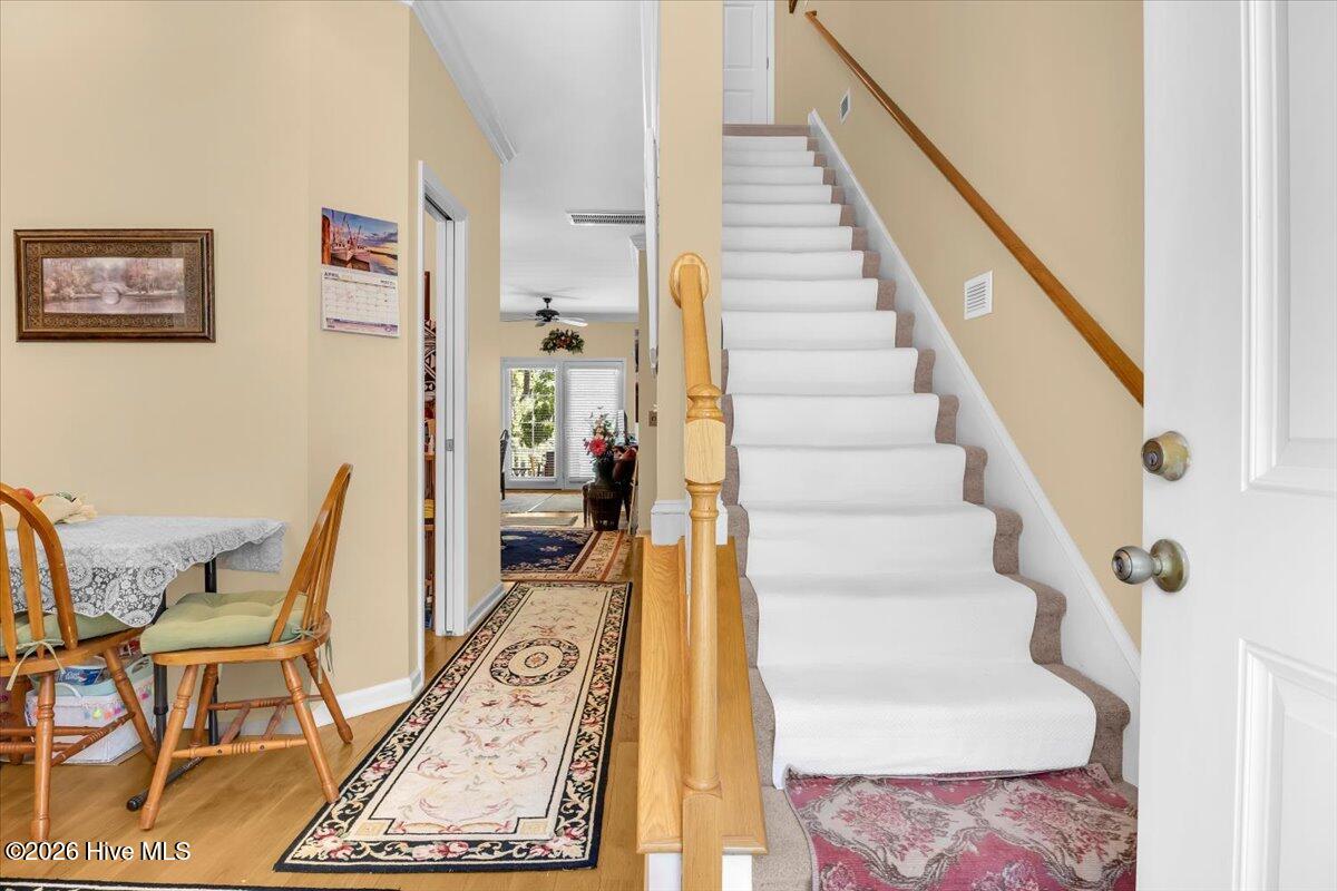 100566244 | Photo 19