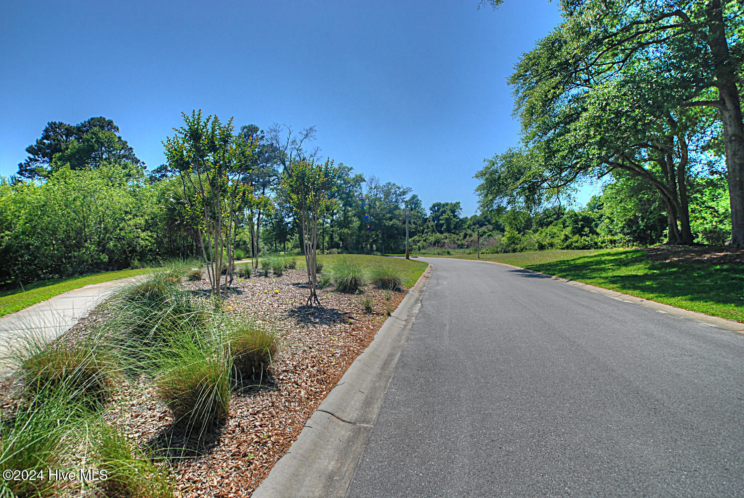 100475604 | Photo 11