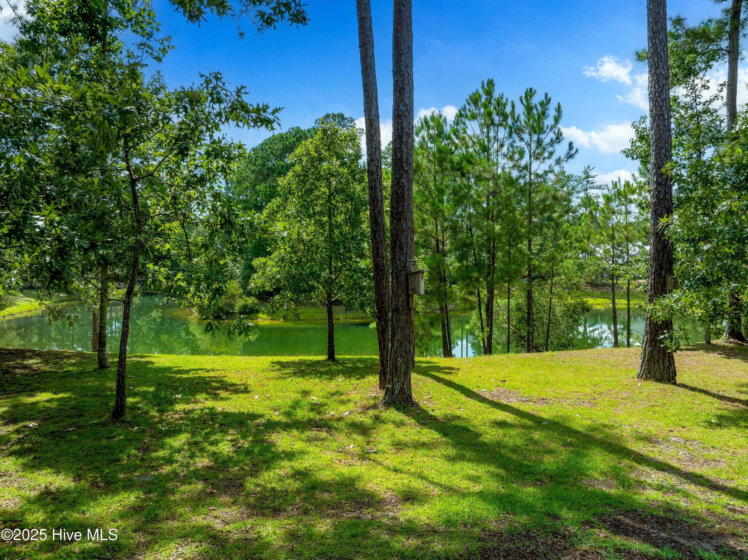 100522220 | Photo 63