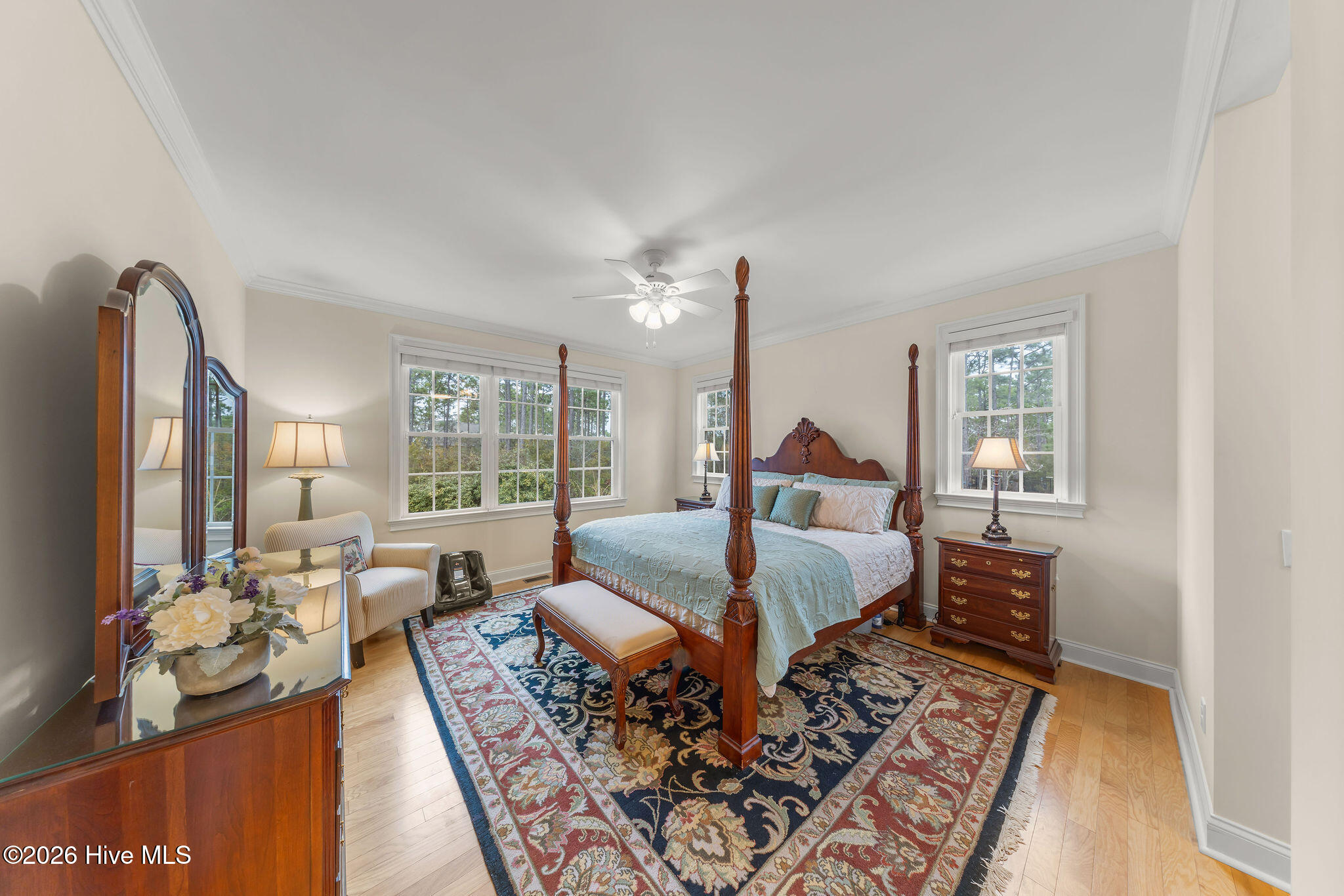 100556154 | Photo 31