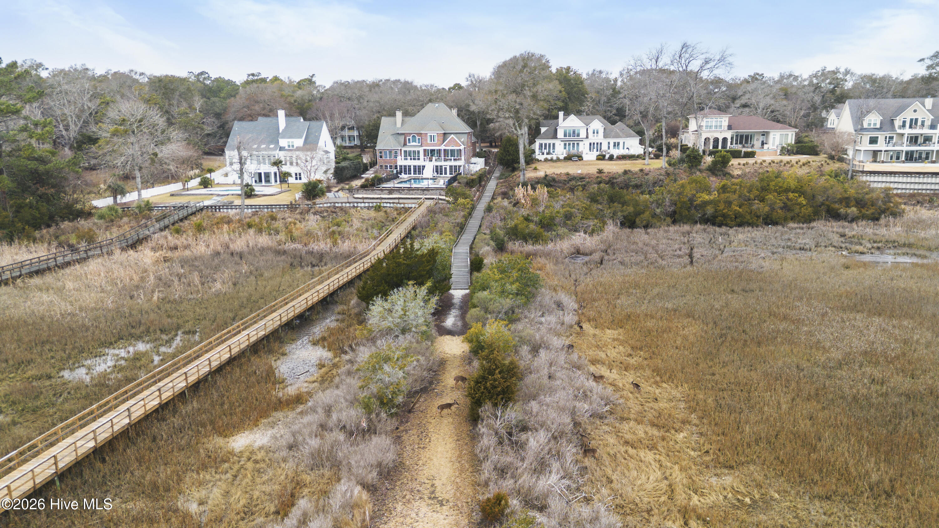 100553225 | Photo 18