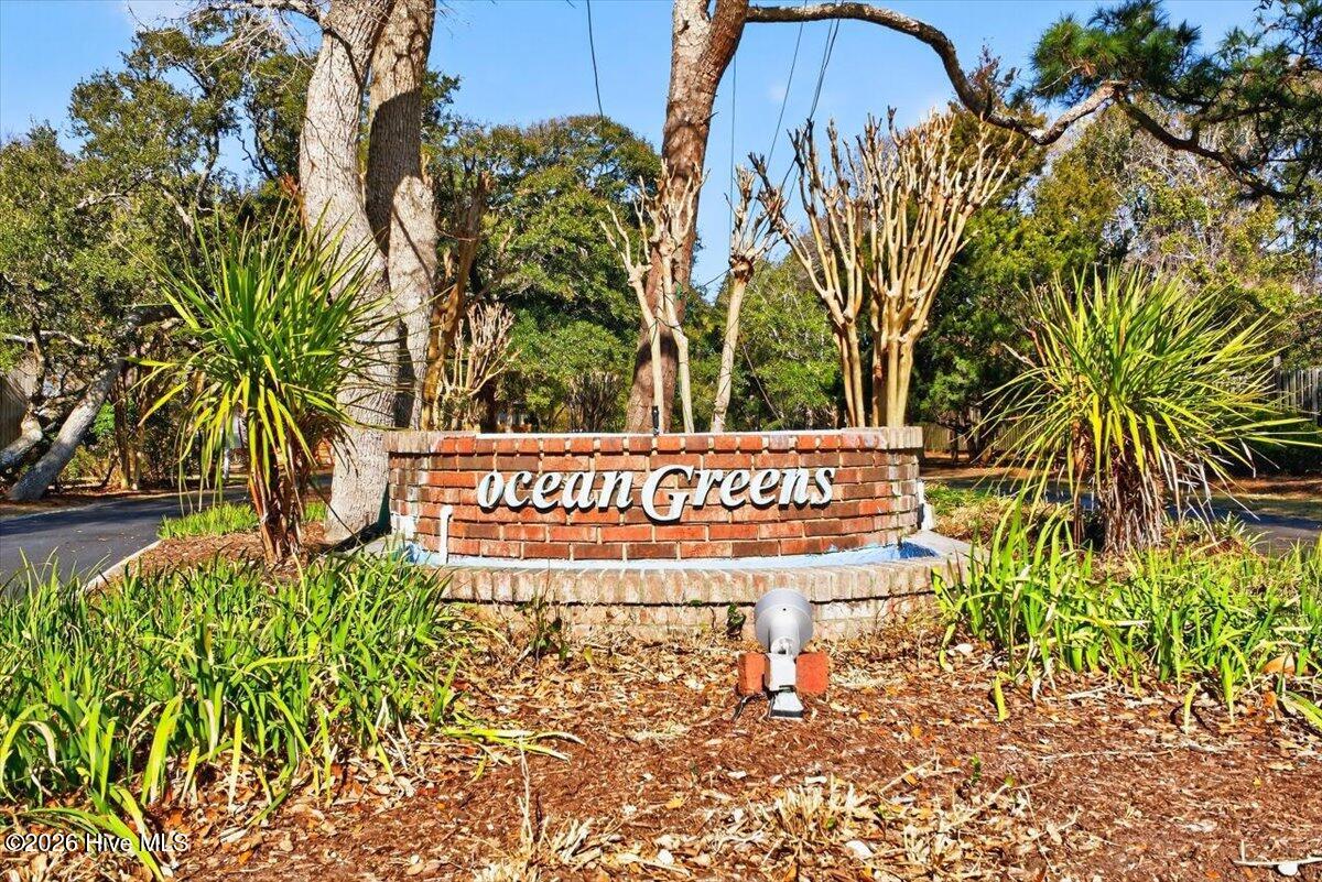 100551155 | Photo 71