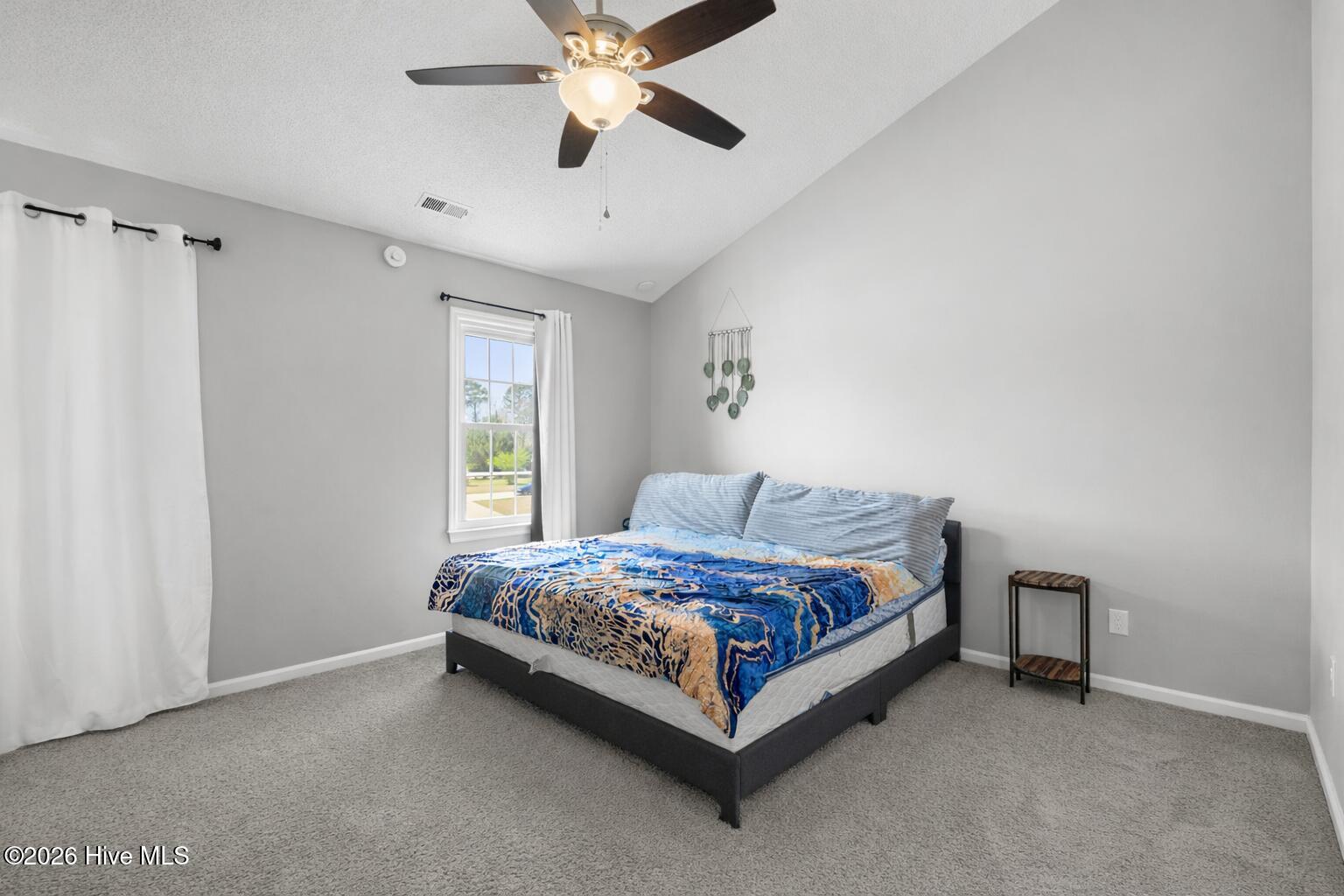 100563298 | Photo 15