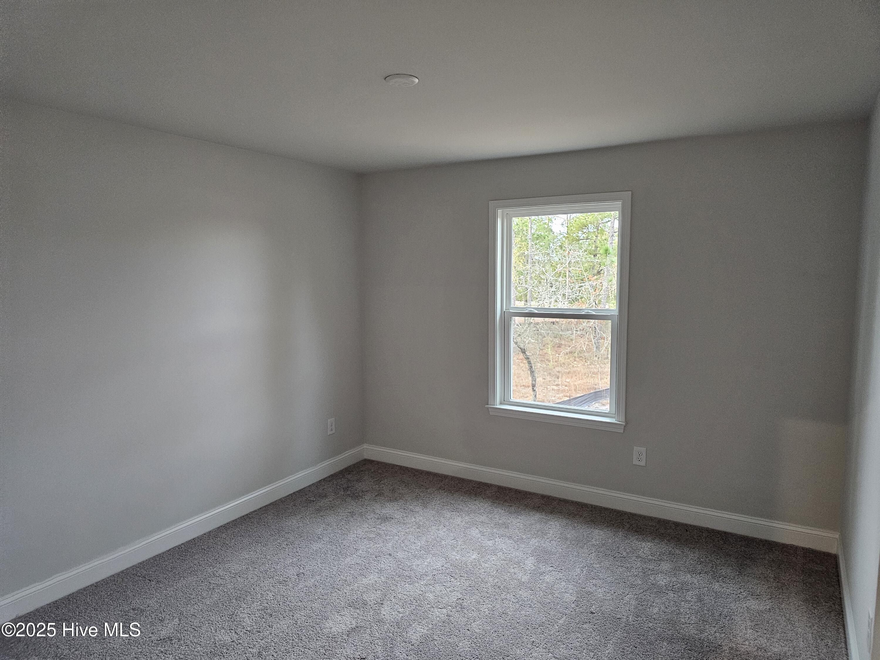 100531272 | Photo 17